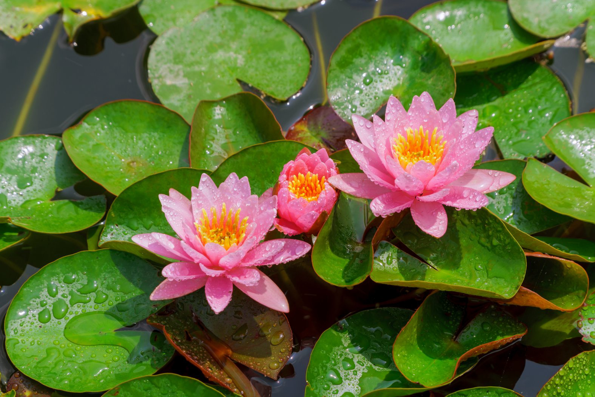 Культурные и исторические достопримечательности Астраханской области