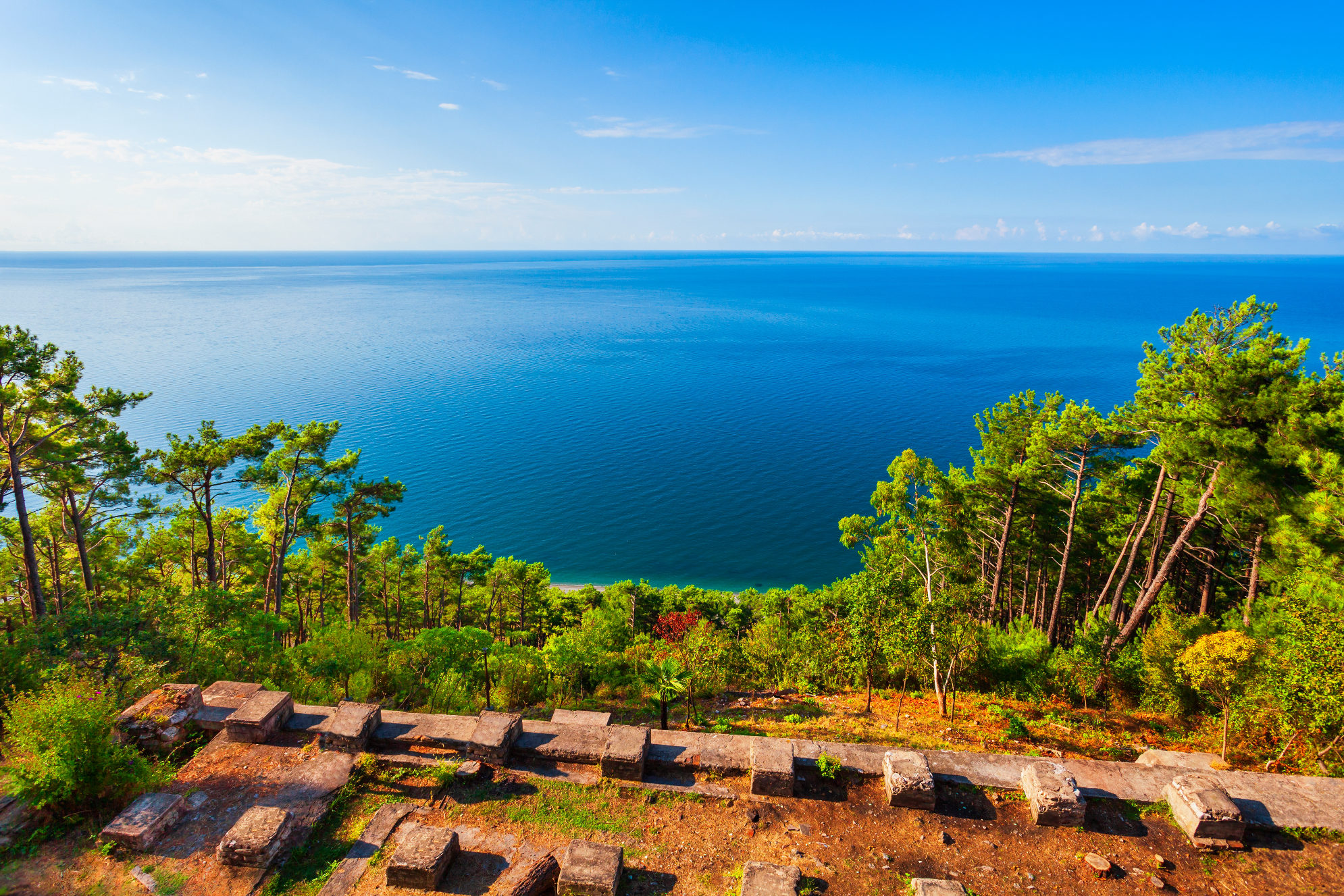 Сосновый лес и черноморский пейзаж у Дачи Сталина, Абхазия. Источник: Shutterstock