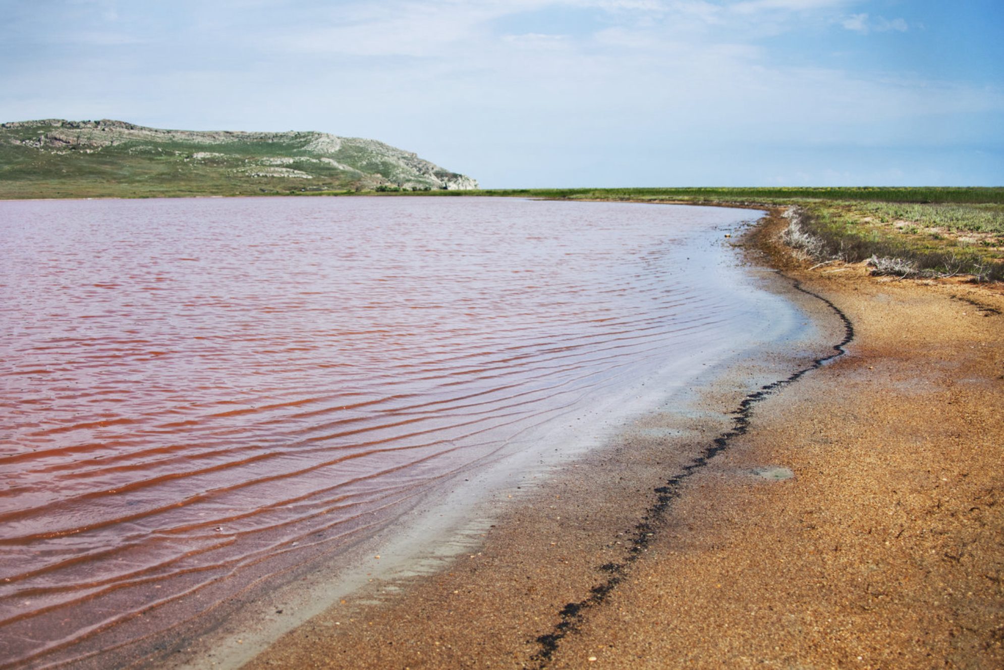 Розовой вода бывает только в теплое время года. Shutterstock