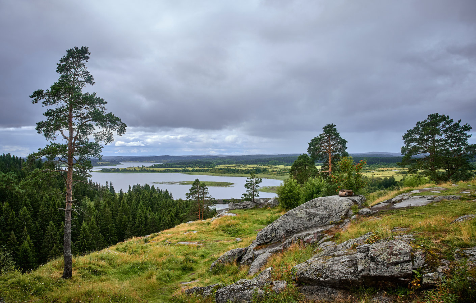 Парк Паанаярви. shutterstock.com