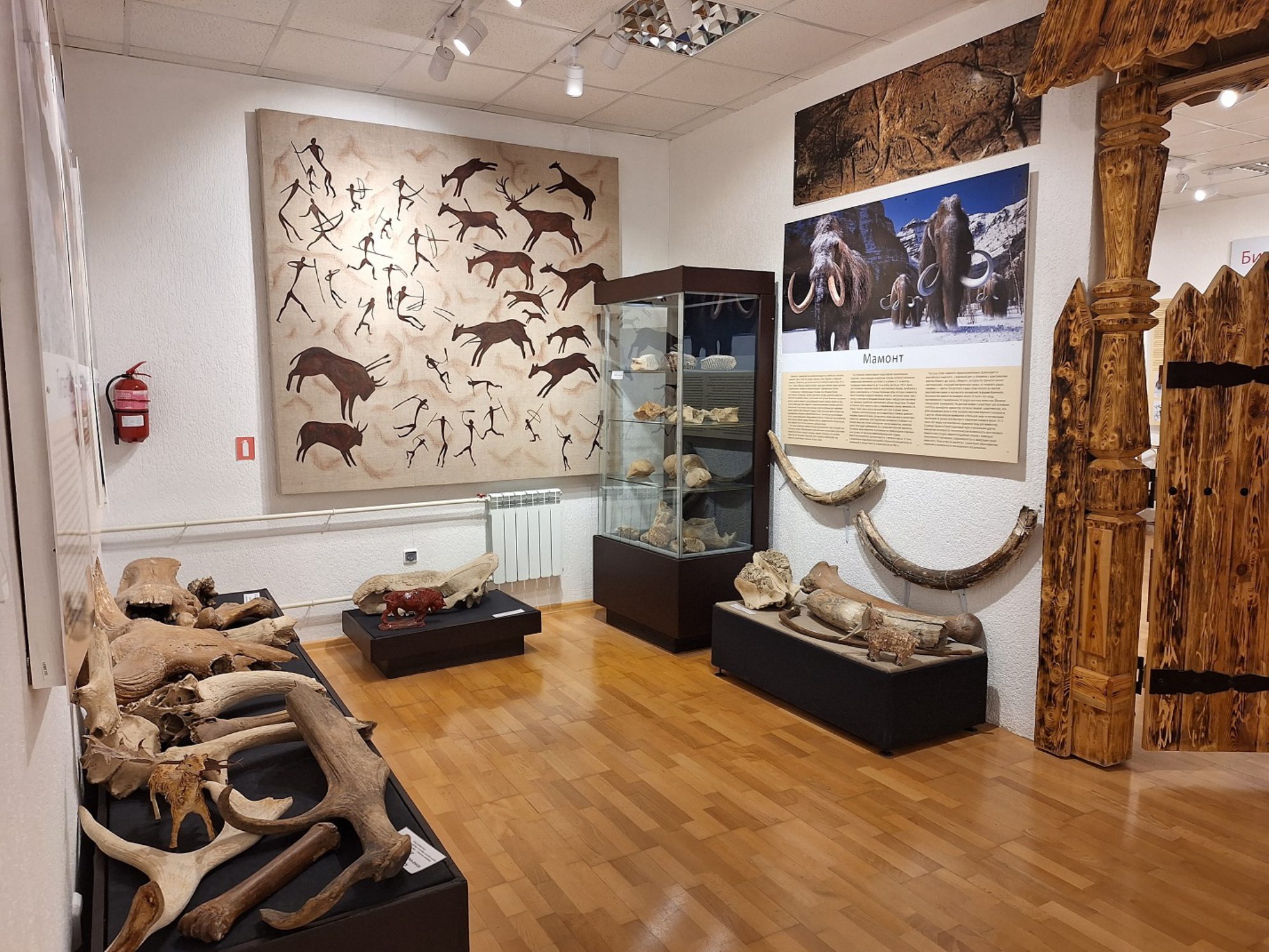 Экспозиция, посвященная мамонтам. Автор фото: Ирина Дорофеева