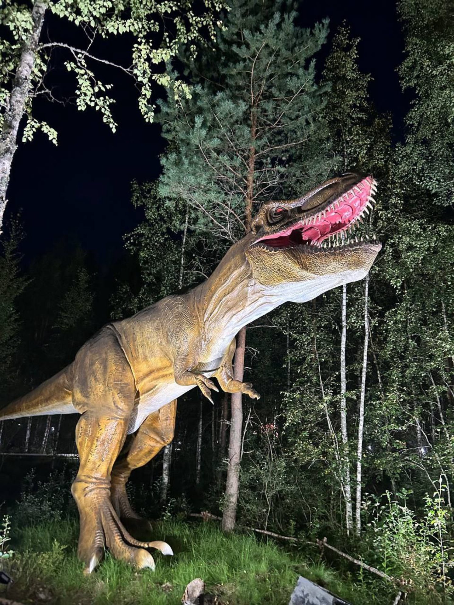 Тираннозавр в Динопарке, Петрозаводск.
Автор фото: Анна Ворожун