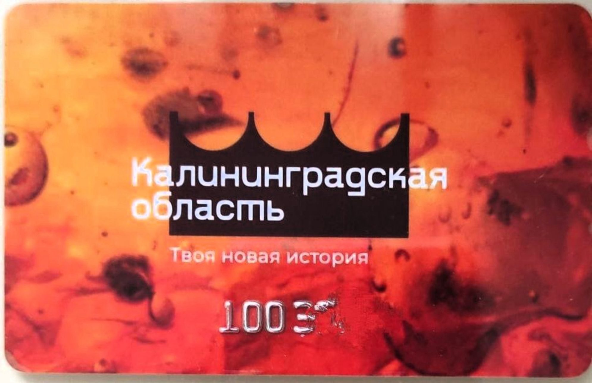 «Карта гостя Калининградской области». Автор фото: Любовь Федорова