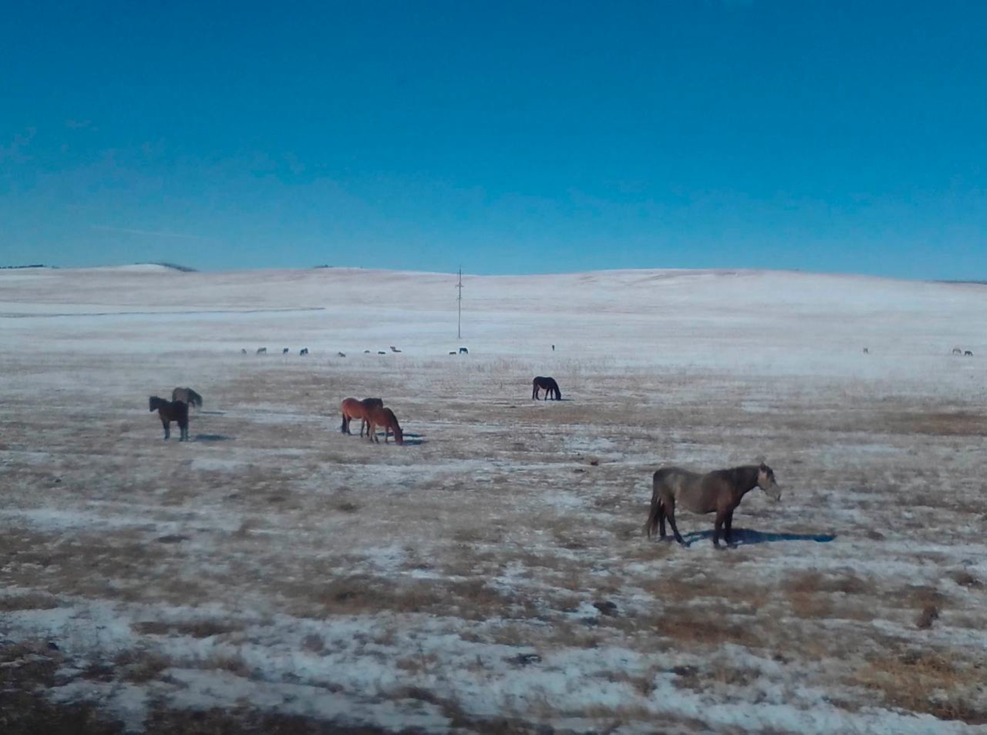 Байкал: экскурсия к поселку Хужир на острове Ольхон