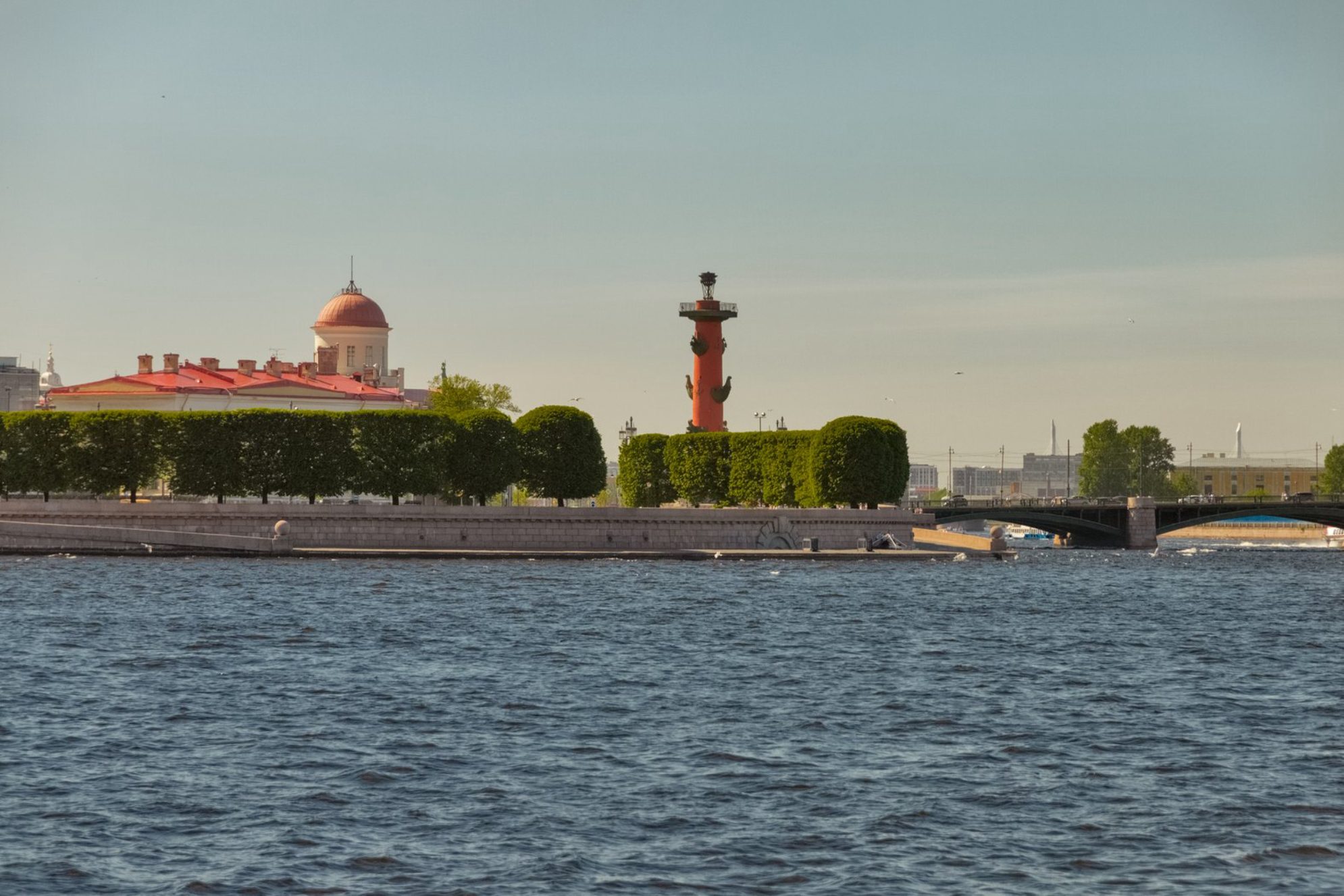 Васильевский остров. Источник фото: elements.envato.com