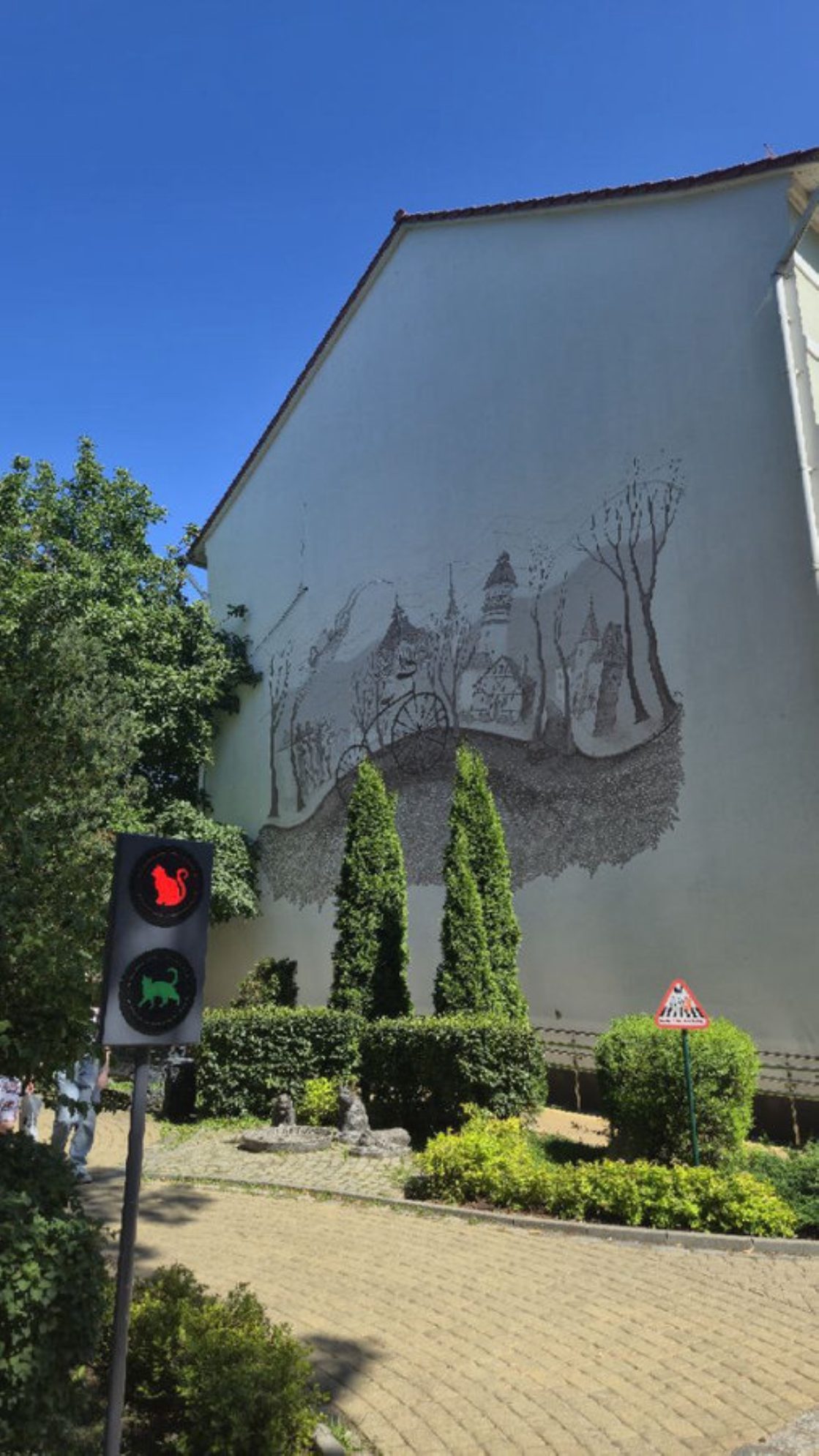 Кошачий светофор в Зеленоградске. Автор фото: Александр Мокин