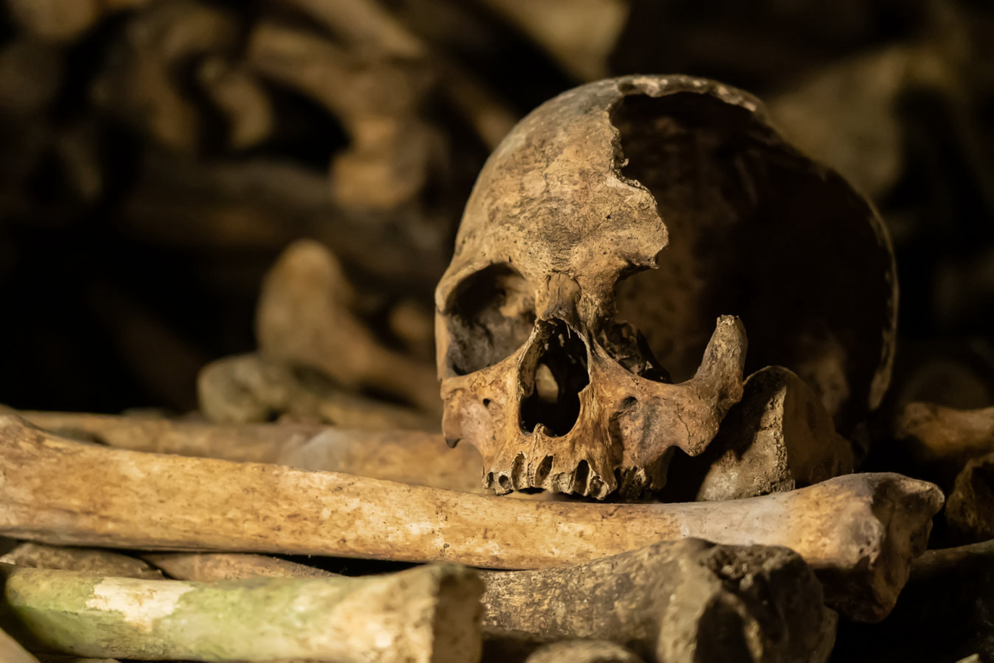 Царство мертвых под Парижем - как появились и что хранят в себе парижские катакомбы