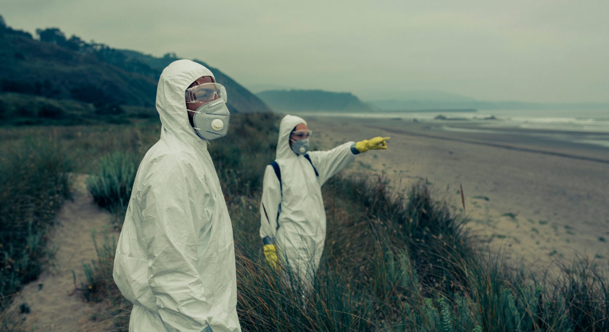Бактерии Vibrio активно размножаются в теплой морской воде, температура которой достигает +20 °C и выше. Источник: Shutterstock