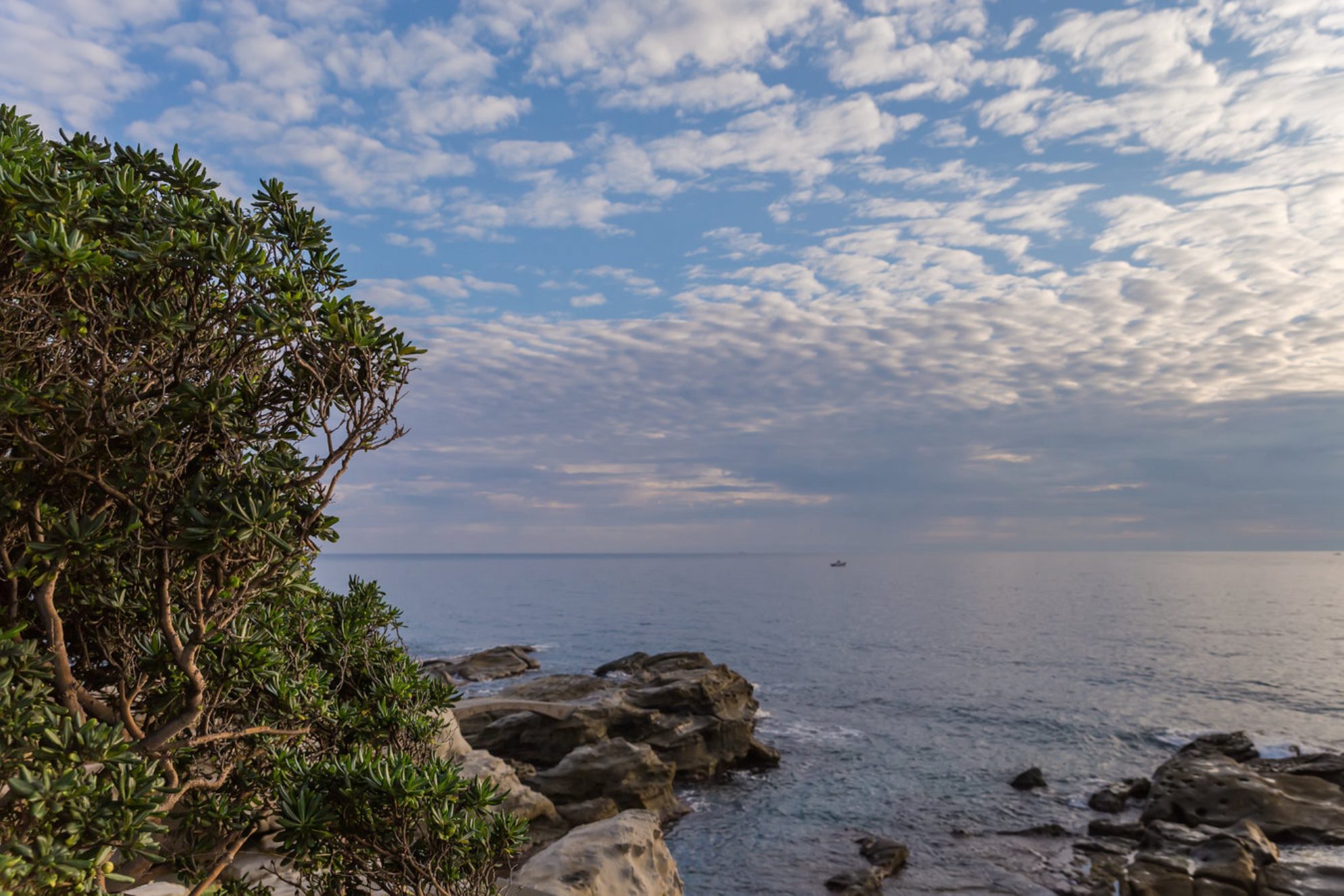 Побережье Японского моря. shutterstock.com