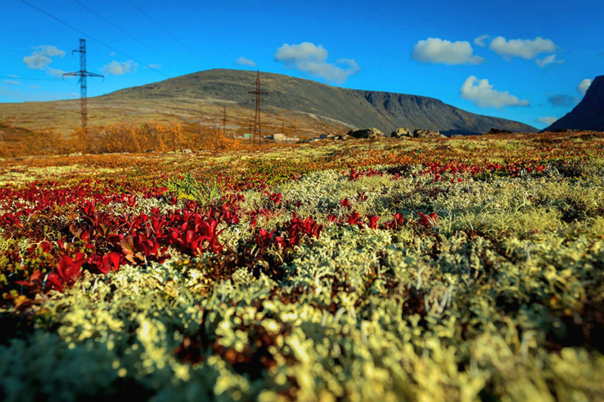 Село Териберка, осень. Автор фото: Наталья Ермохина