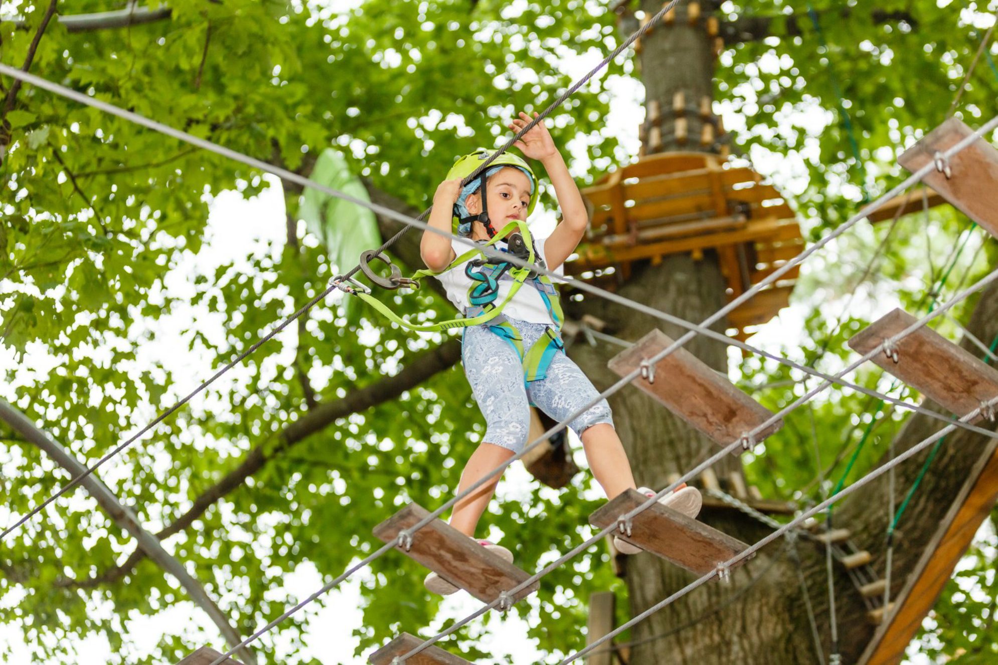 Среди ветвей Источник фото: elements.envato.com