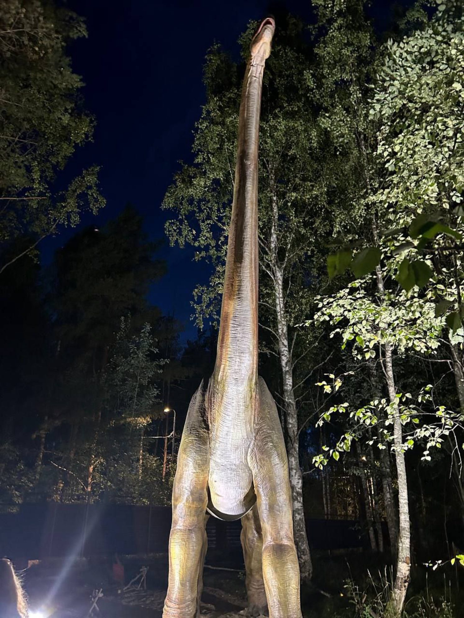 Брахиозавр в Динопарке, Петрозаводск.
Автор фото: Анна Ворожун