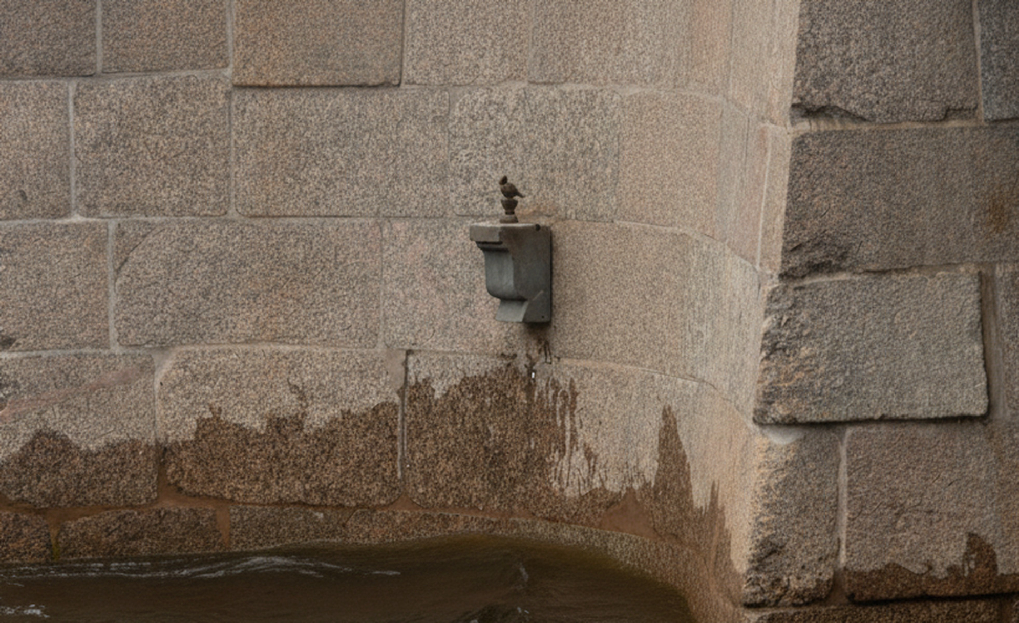 К фигурке Чижика-Пыжика удобно пробраться на водной прогулке - прогулочные корабли проходят совсем рядом