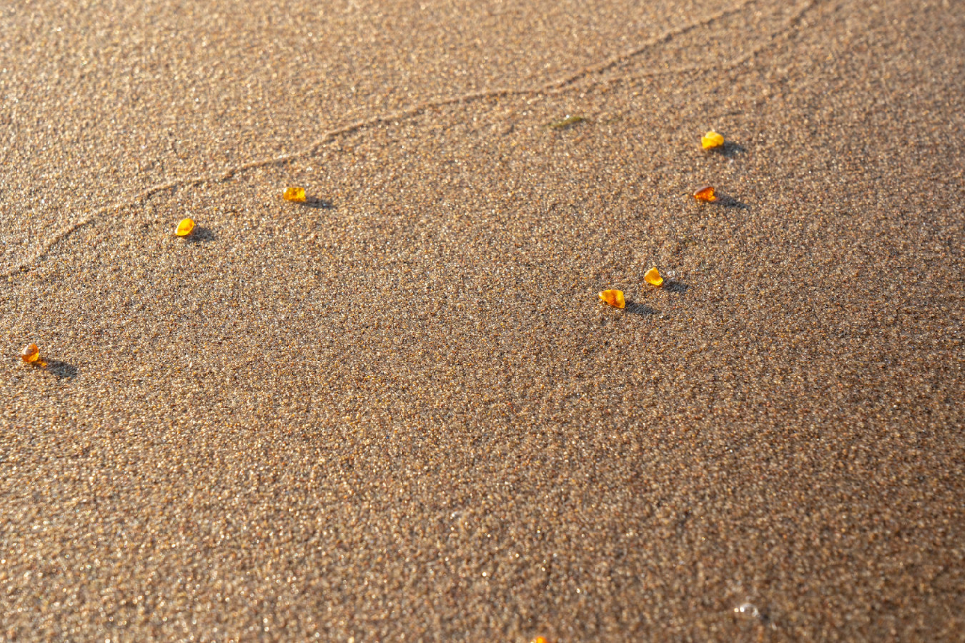 Экскурсия в Янтарный и Светлогорск: Путешествие к балтийским самоцветам