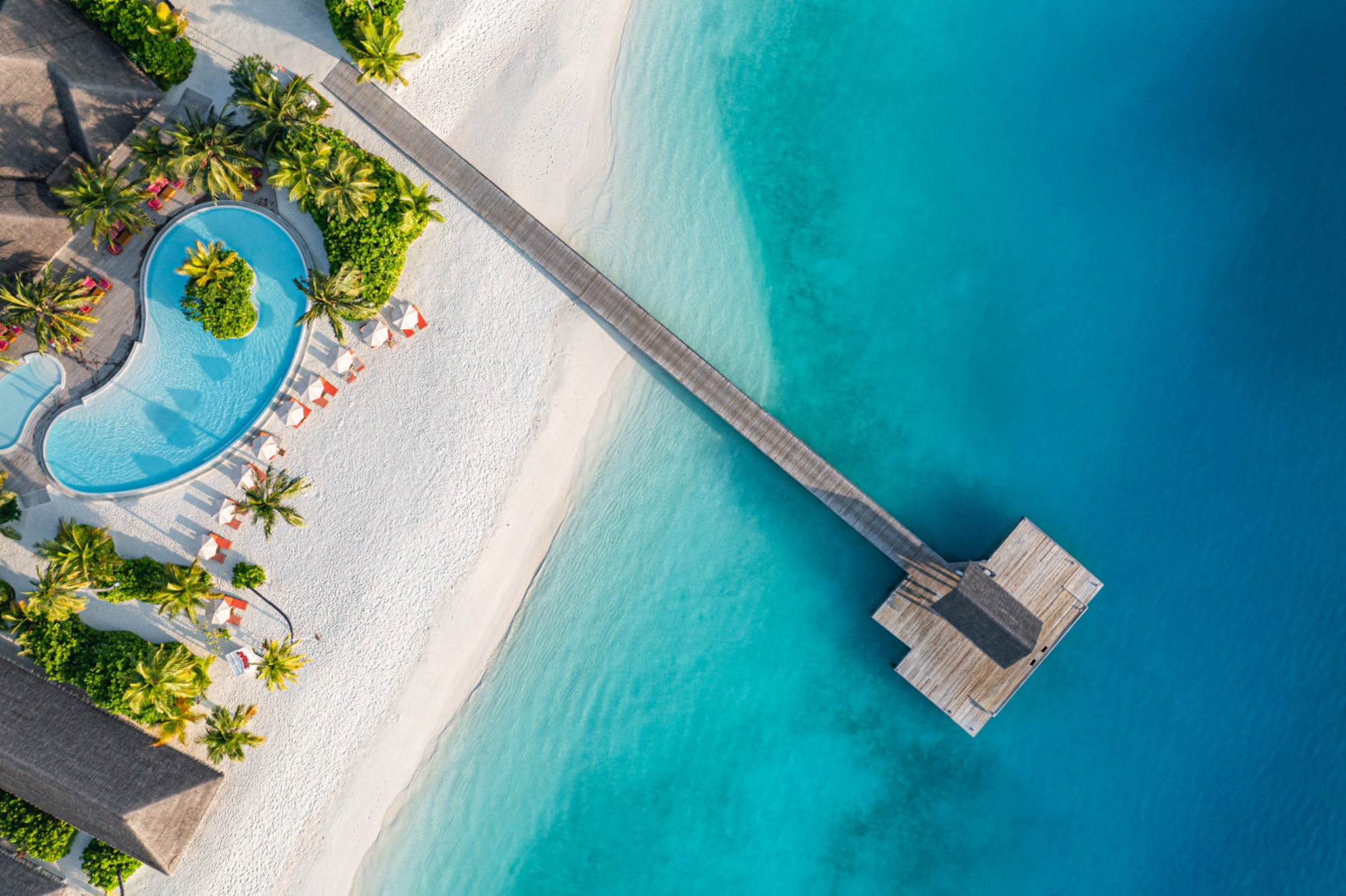 Плюсы − спокойная погода, отличные пляжи, богатый подводный мир; минусы − цены на премиум-отели высокие, мало культурных экскурсий. Источник: shutterstock.com