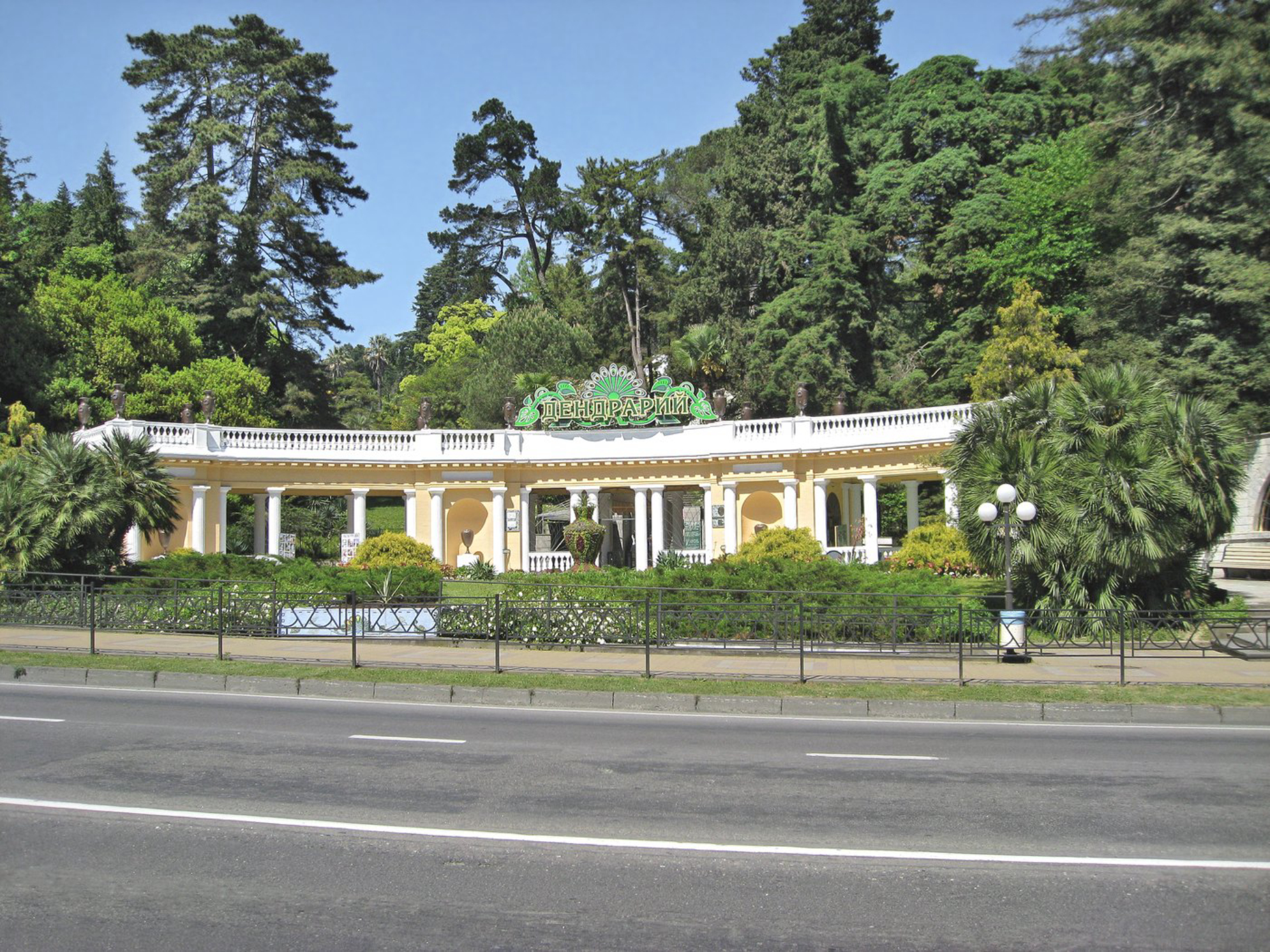 Где погулять в Сочи в 2025 году: лучшие парки и набережные курорта