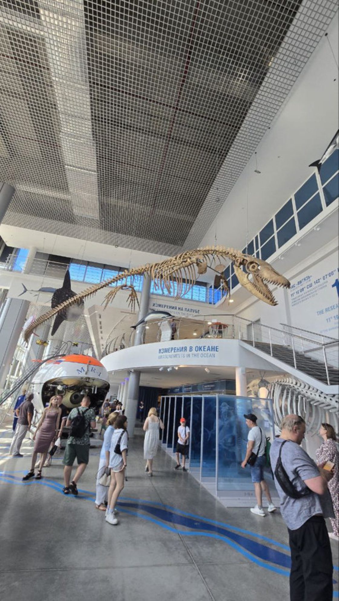 Музей мирового океана, экспозиция. Автор фото: Александр Мокин