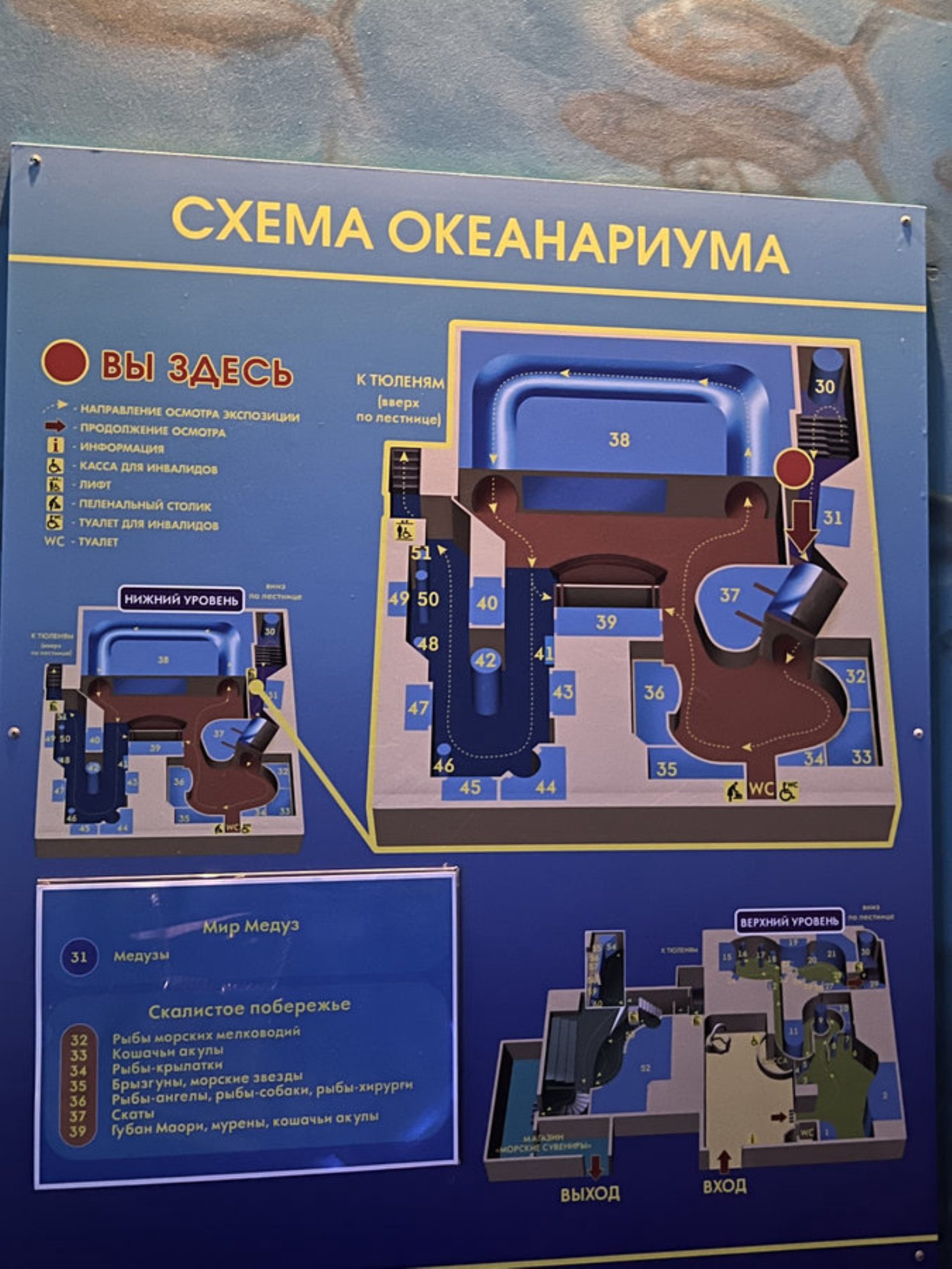 Схема океанариума. Автор фото: Маргарита Рейзес