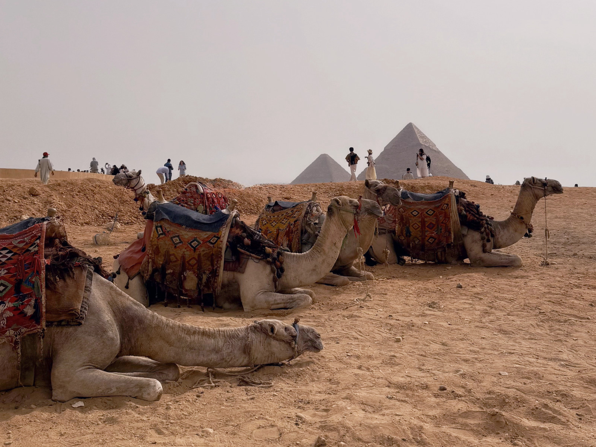 Те самые «образы»: пустыня, пирамиды, сфинкс, верблюды. Источник: личный архив