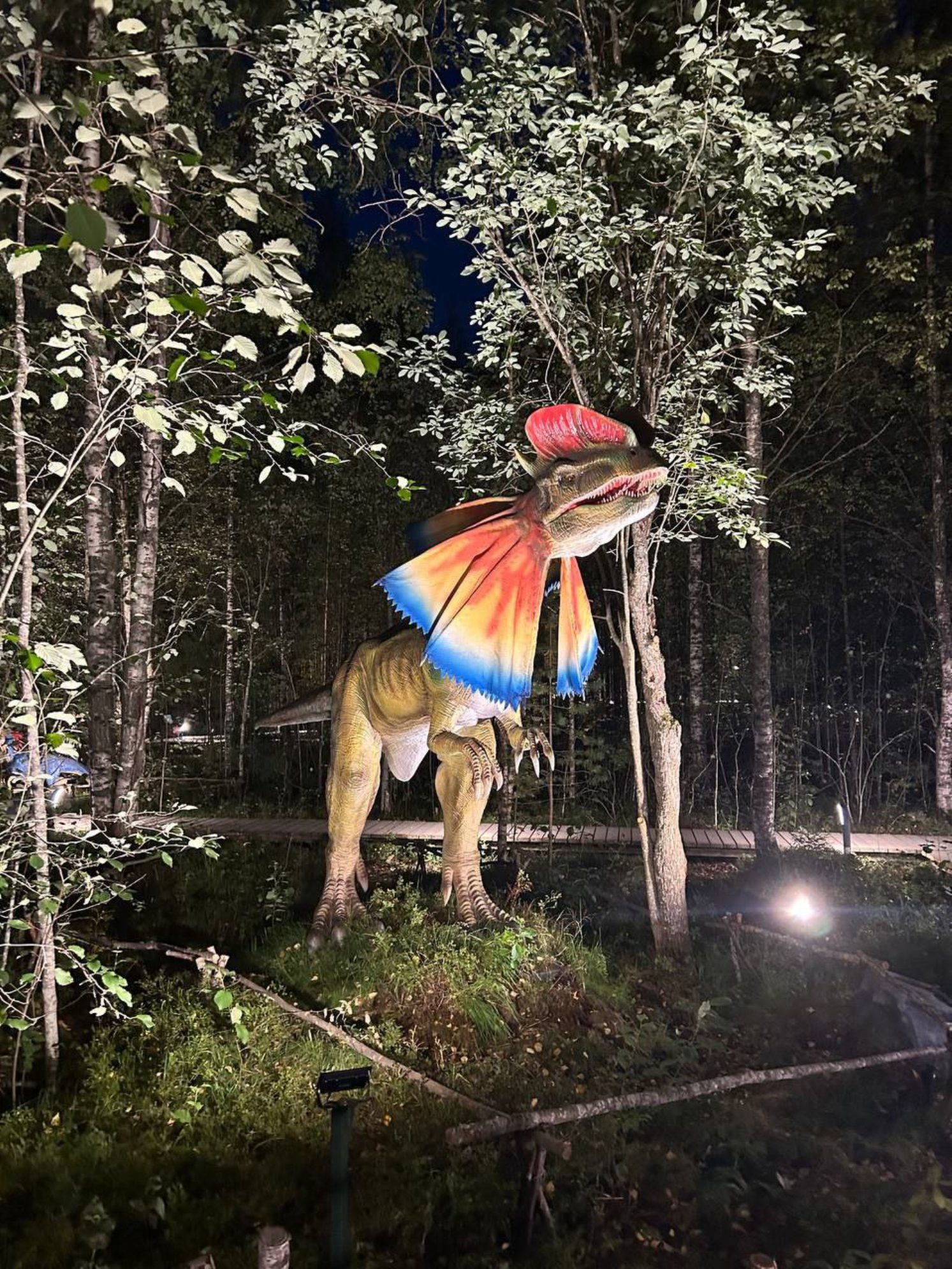 Дилофозавр в Динопарке, Петрозаводск.
Автор фото: Анна Ворожун