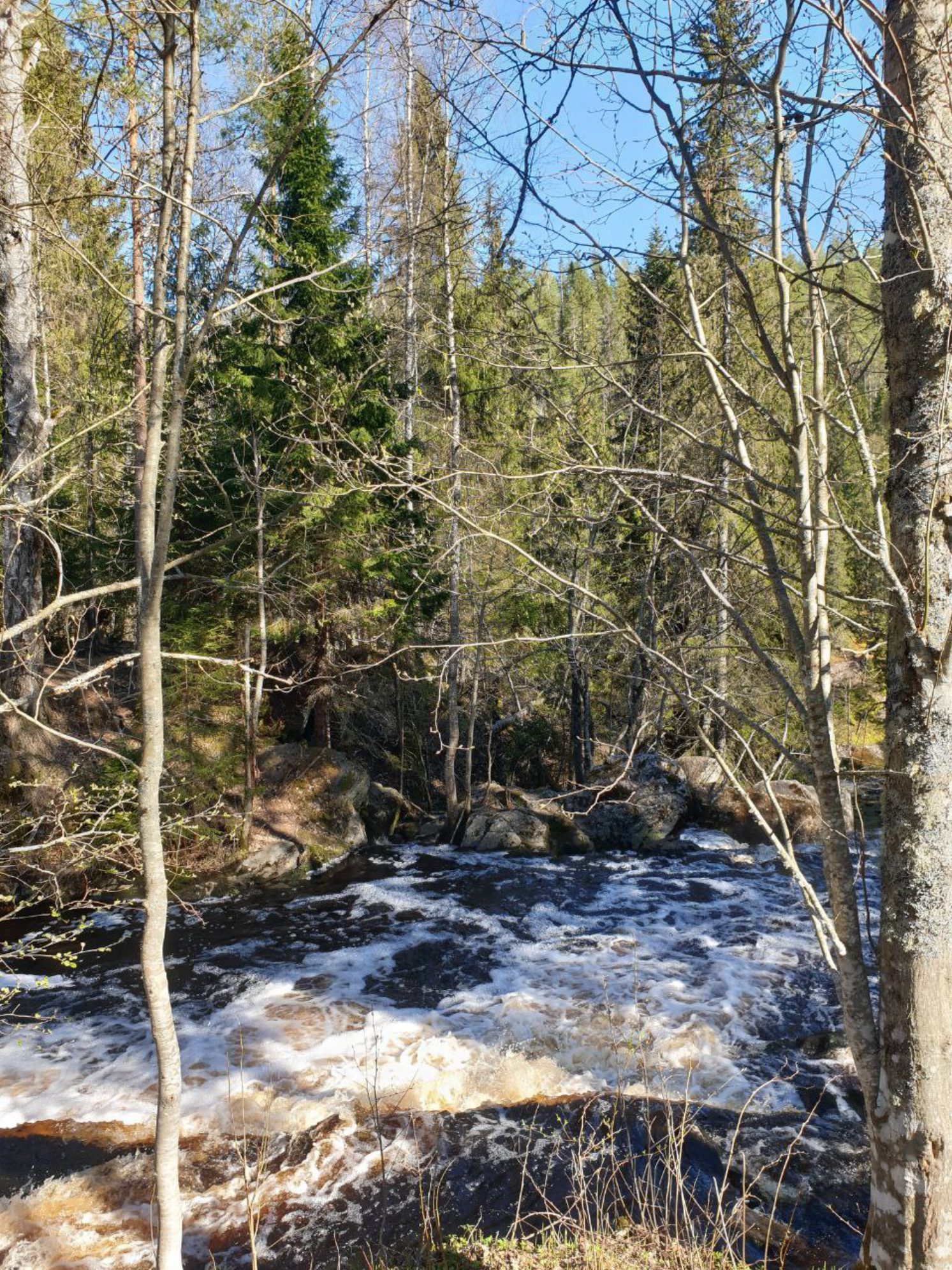 Приезжать к водопадам лучше весной, когда уровень воды максимален. Автор фото: Анна Ворожун