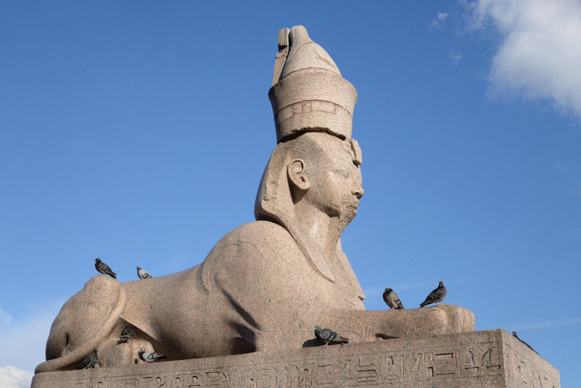 Сфинксы на Университетской набережной. Источник: Shutterstock