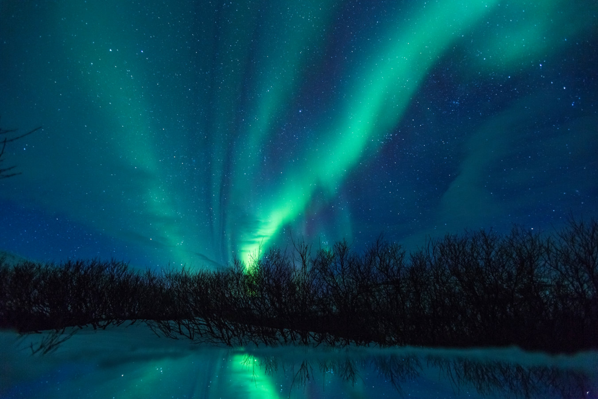 Северное сияние Aurora Borealis в Мурманской области, Россия. shutterstock.com