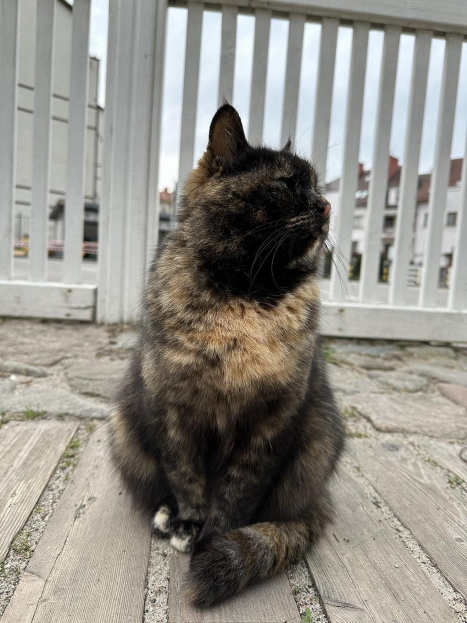 Зеленоградск.Источник фото: личный архив.Автор фото: Тронькова Анастасия