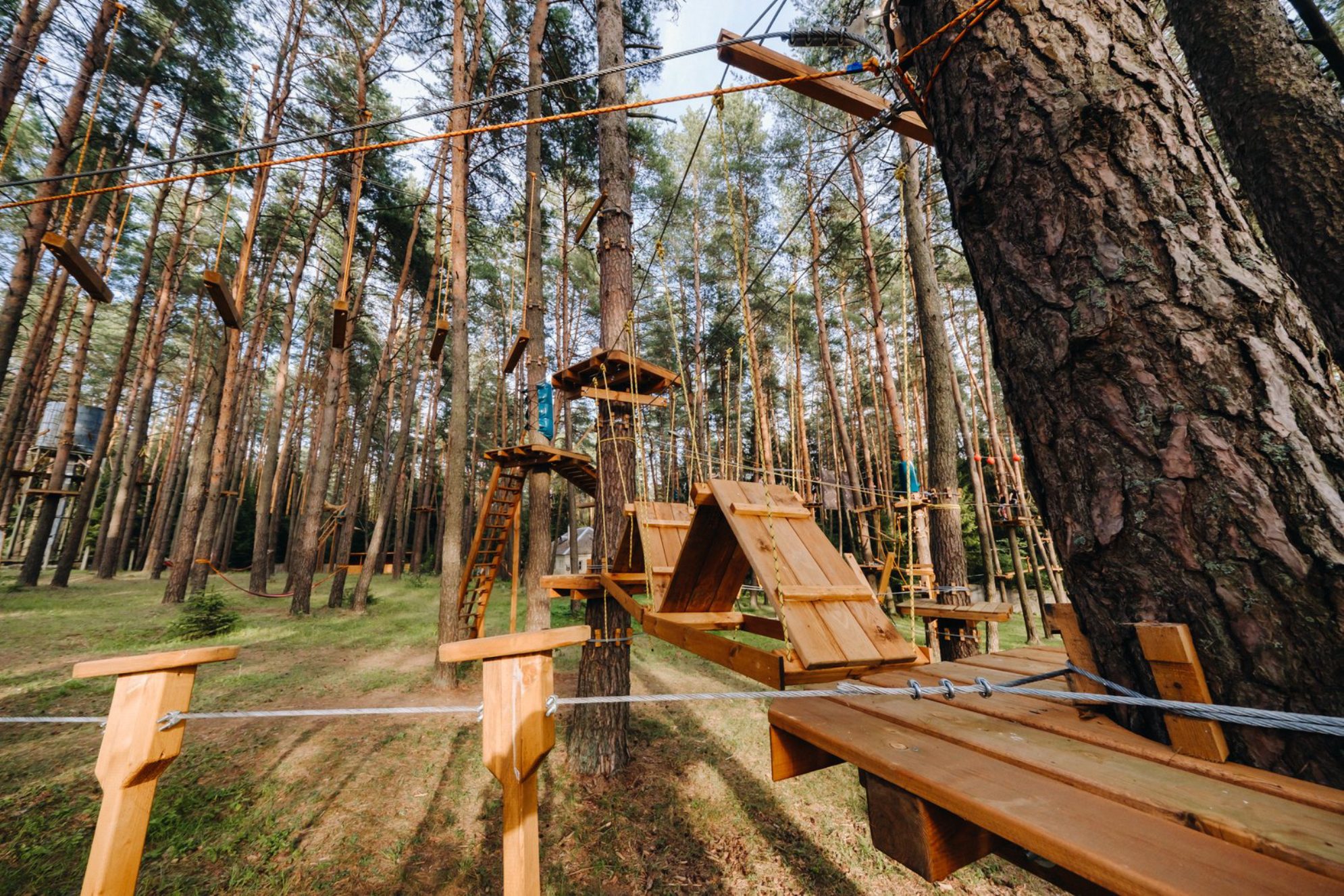 Элементы веревочного городка в парке Источник фото: elements.envato.com