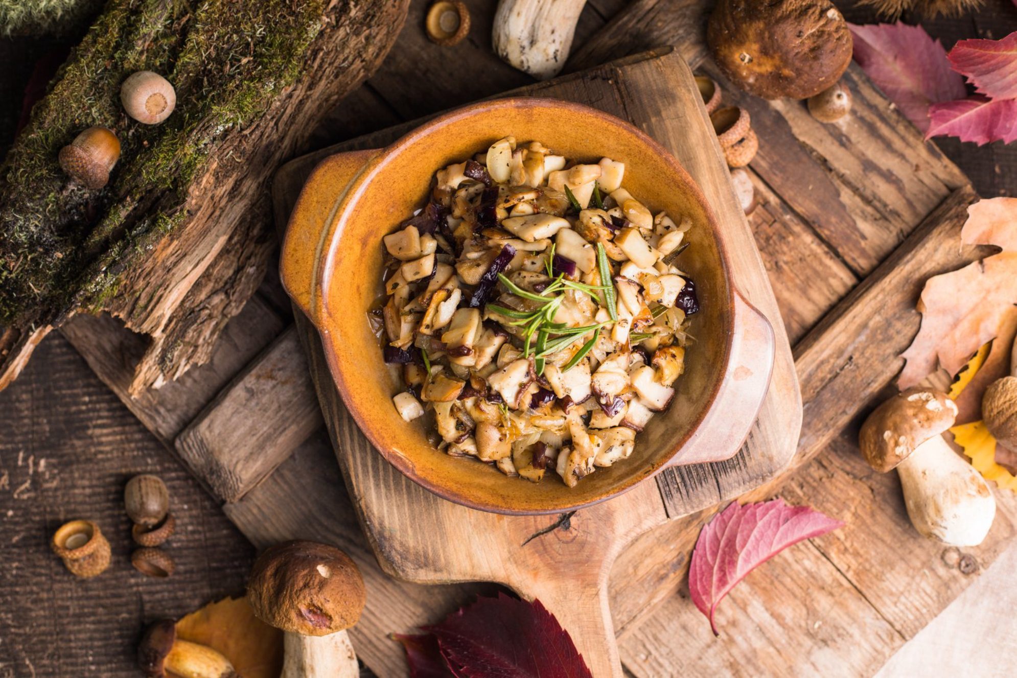 Блюдо из грибов.