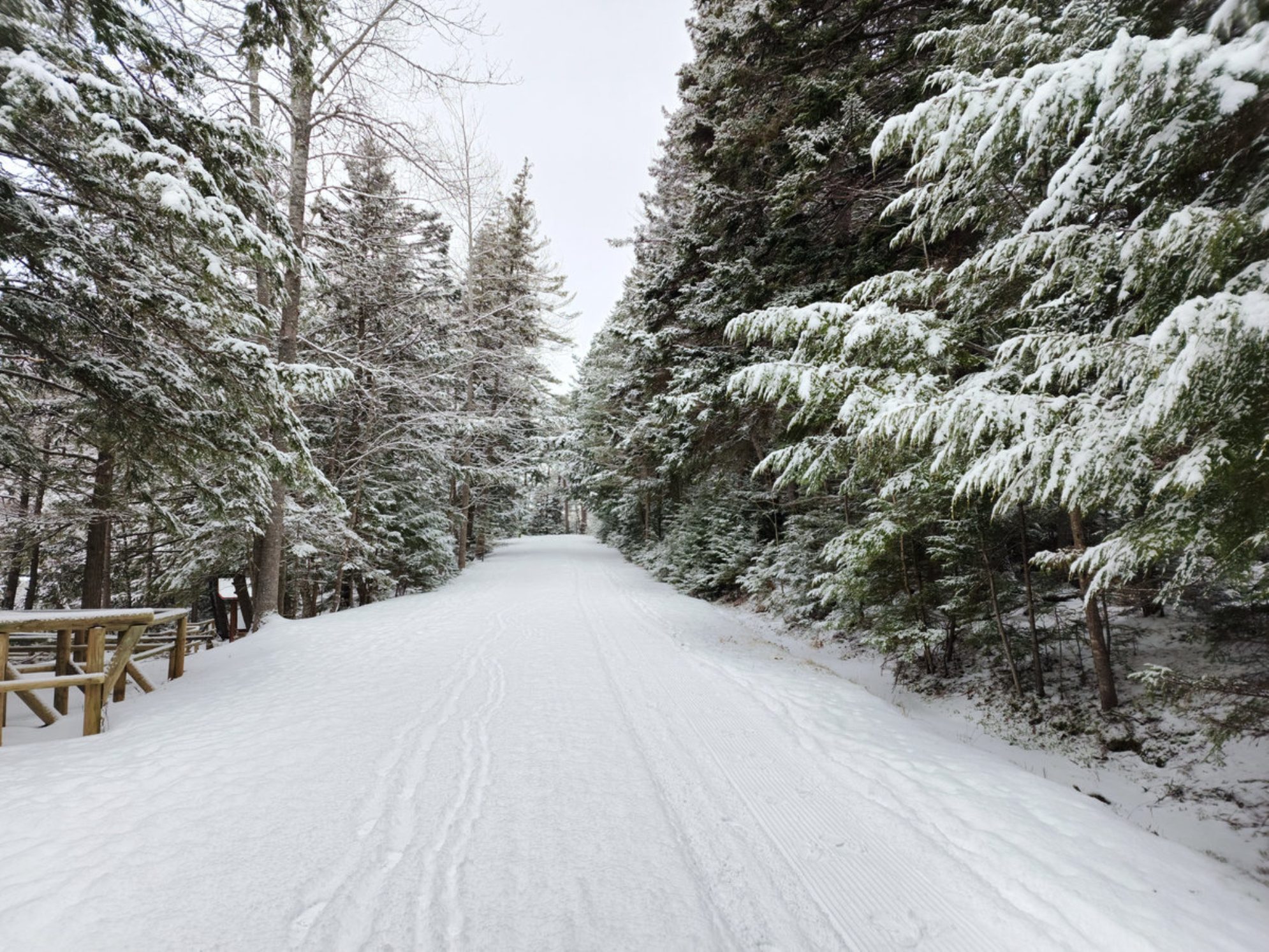 Заснеженная дорога в зимнем лесу, Россия. shutterstock.com