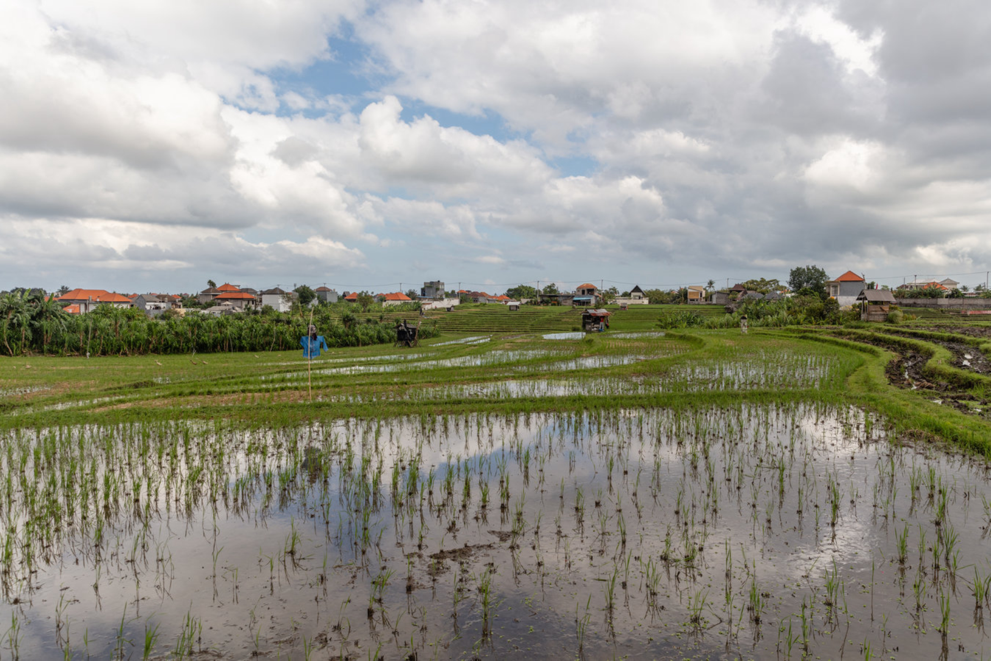 Наводнение на Бали в 2025 году: что случилось, как это повлияло на путешествия и стоит ли ехать сейчас