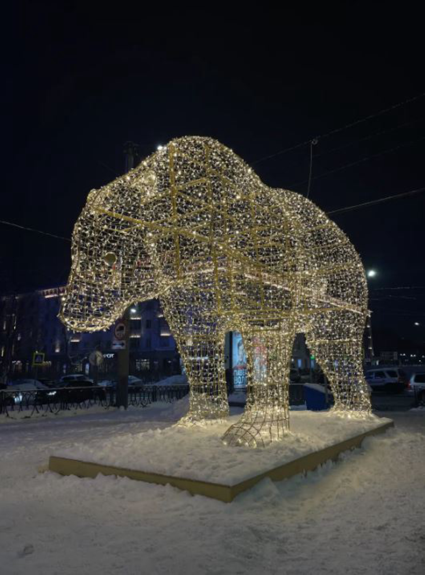 Светящиеся медведи в центре. Автор: Анастасия Рейзес