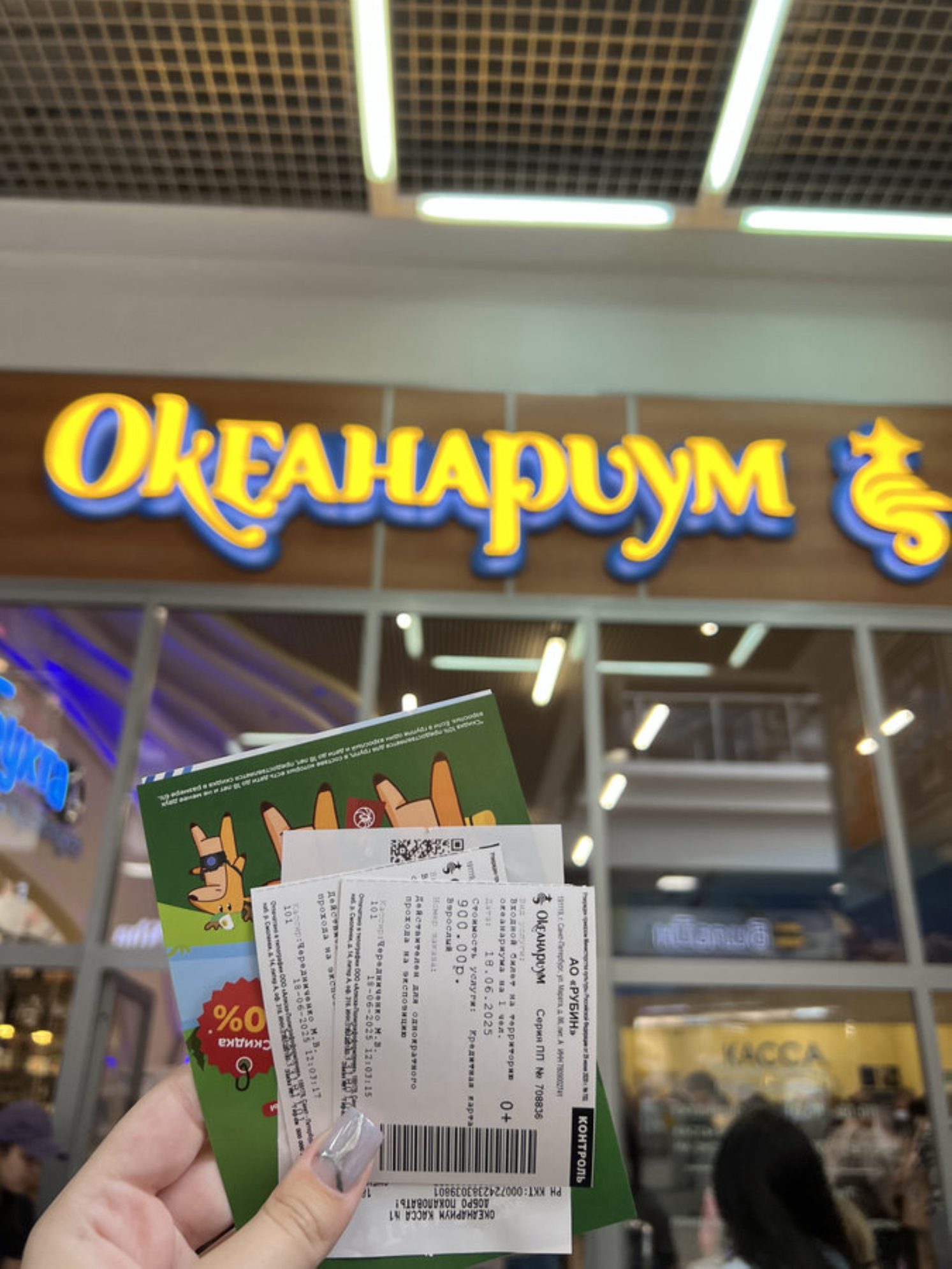 Купили билеты. Автор фото: Маргарита Рейзес