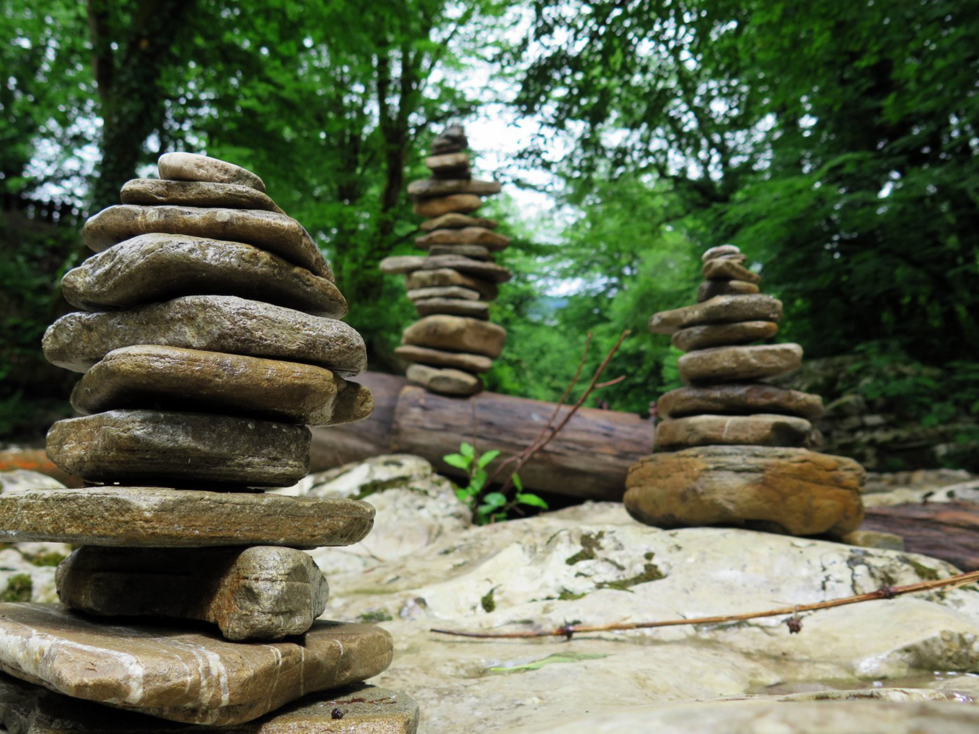 Природные заповедники Краснодарского края