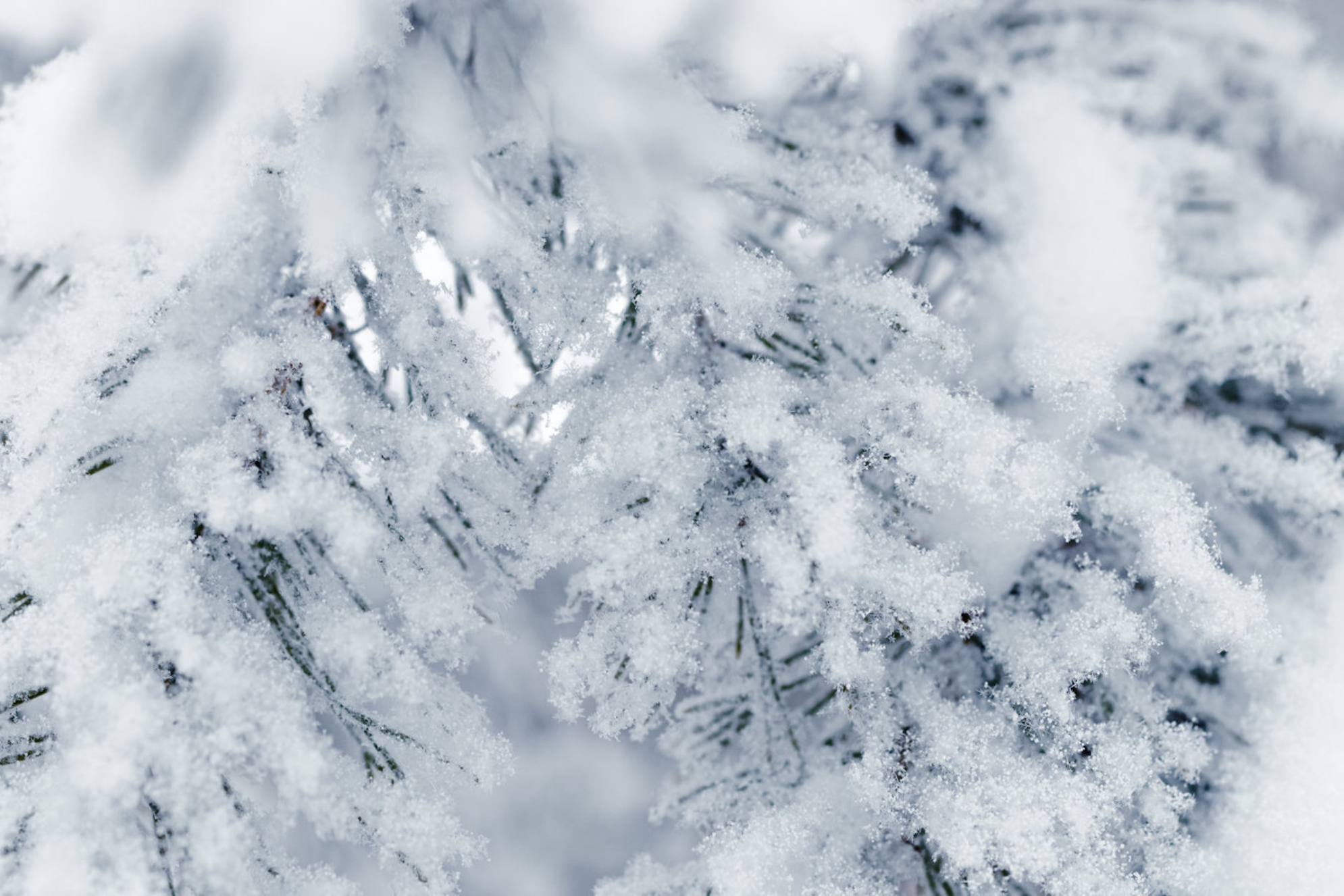 Зима 2025-2026 в Волгограде: прогноз погоды на зимние месяцы, чего ожидать, полезные советы