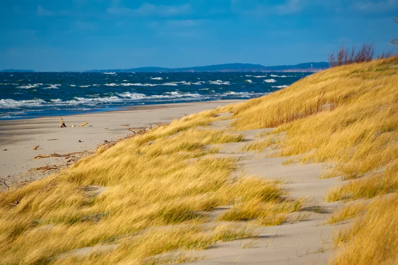 Балтийская коса в Калининградской области.Источник фото: disk.yandex.ruАвтор фото: Медиабанк