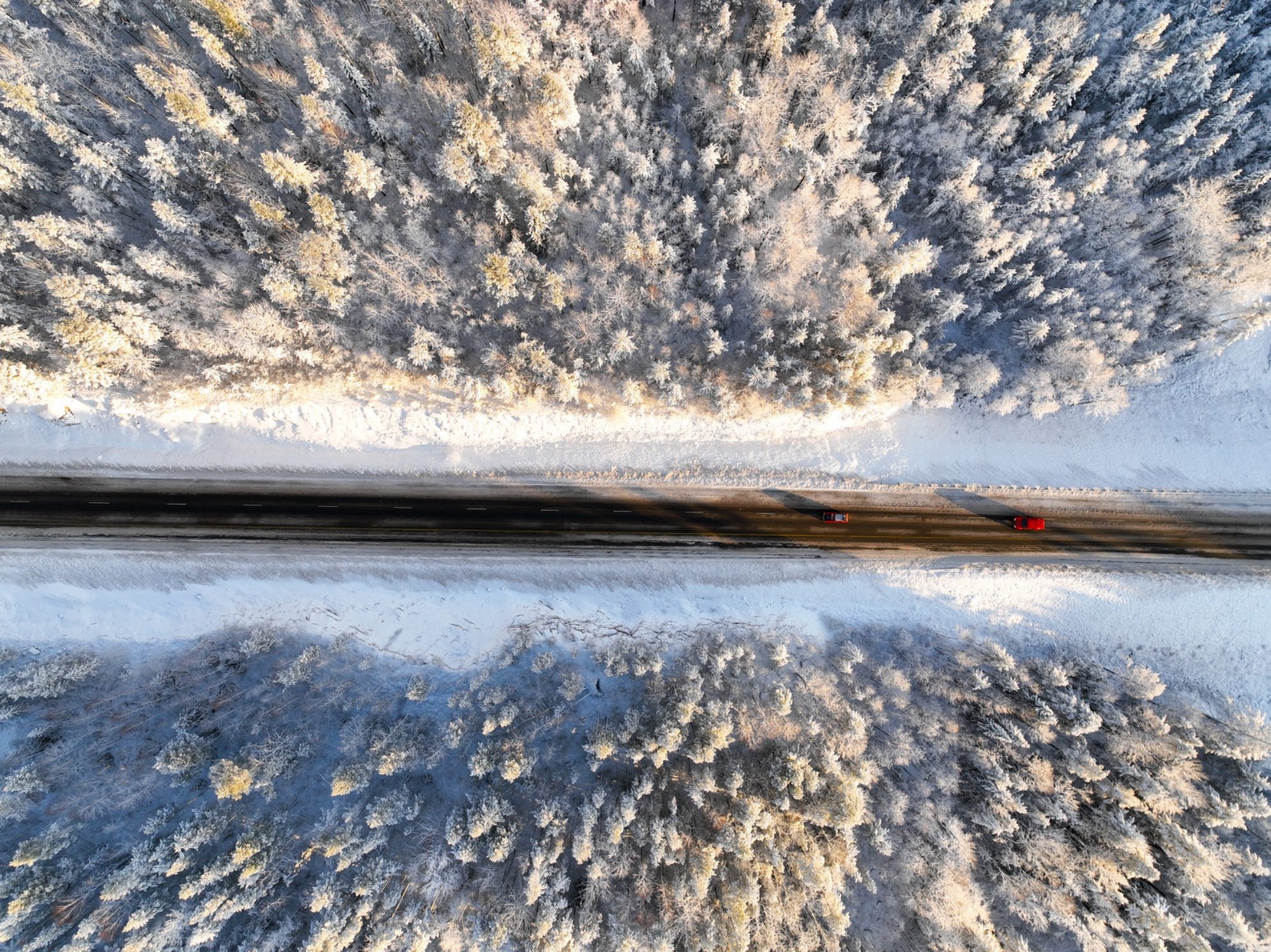 Вид сверху на зимнюю дорогу, окруженную густыми заснеженными соснами. Источник: Shutterstock