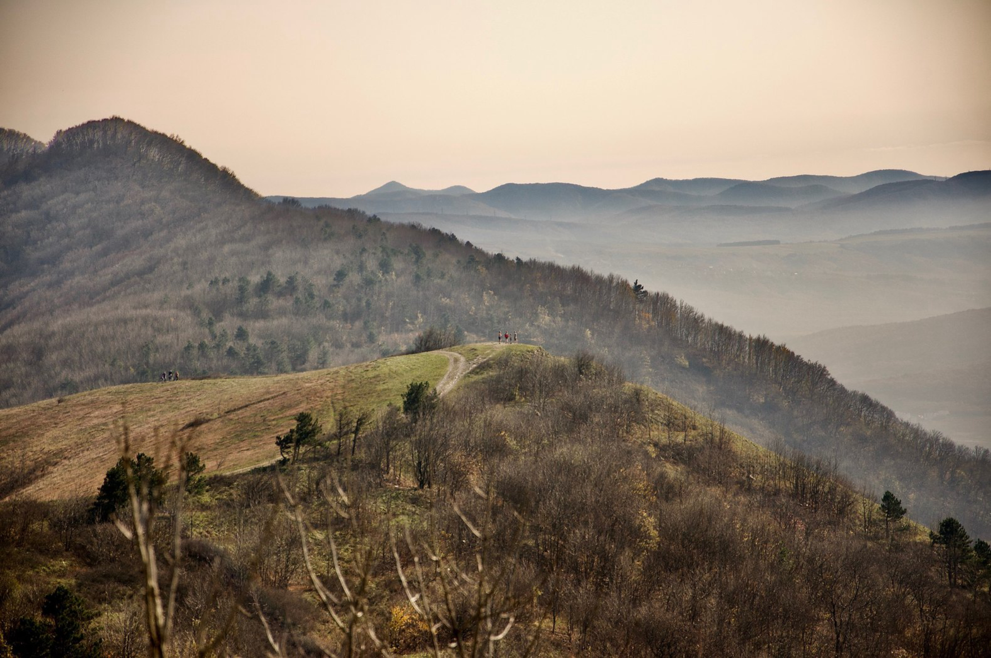 Природный парк Маркотх