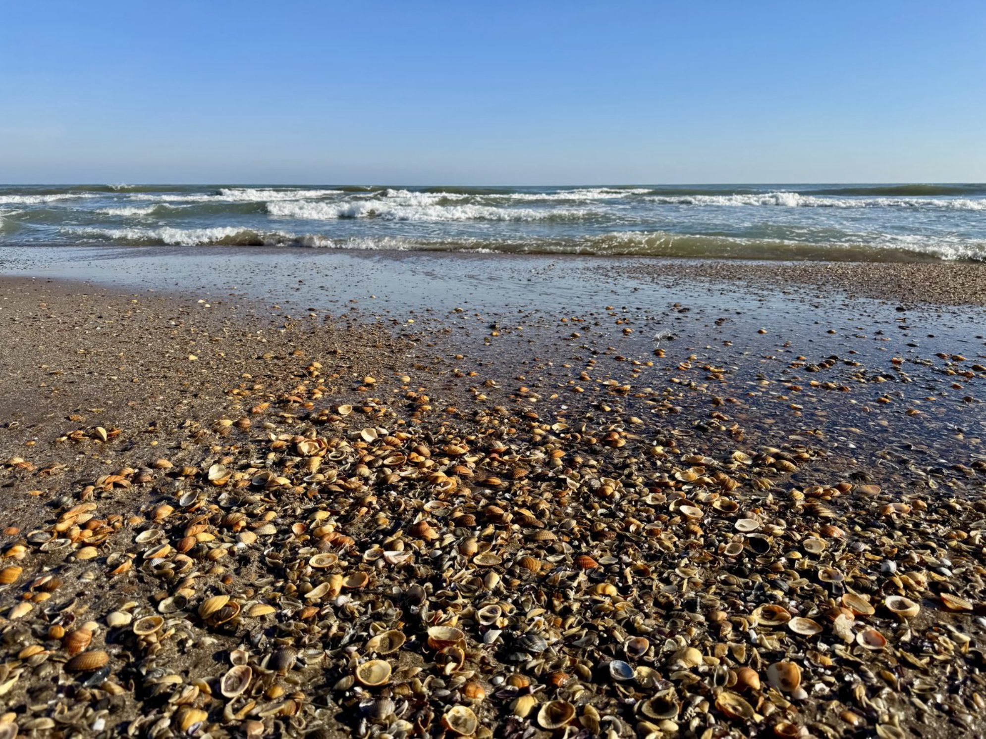 Набережная Дербента. Каспийское море.Автор фото: Лазарева Кристина