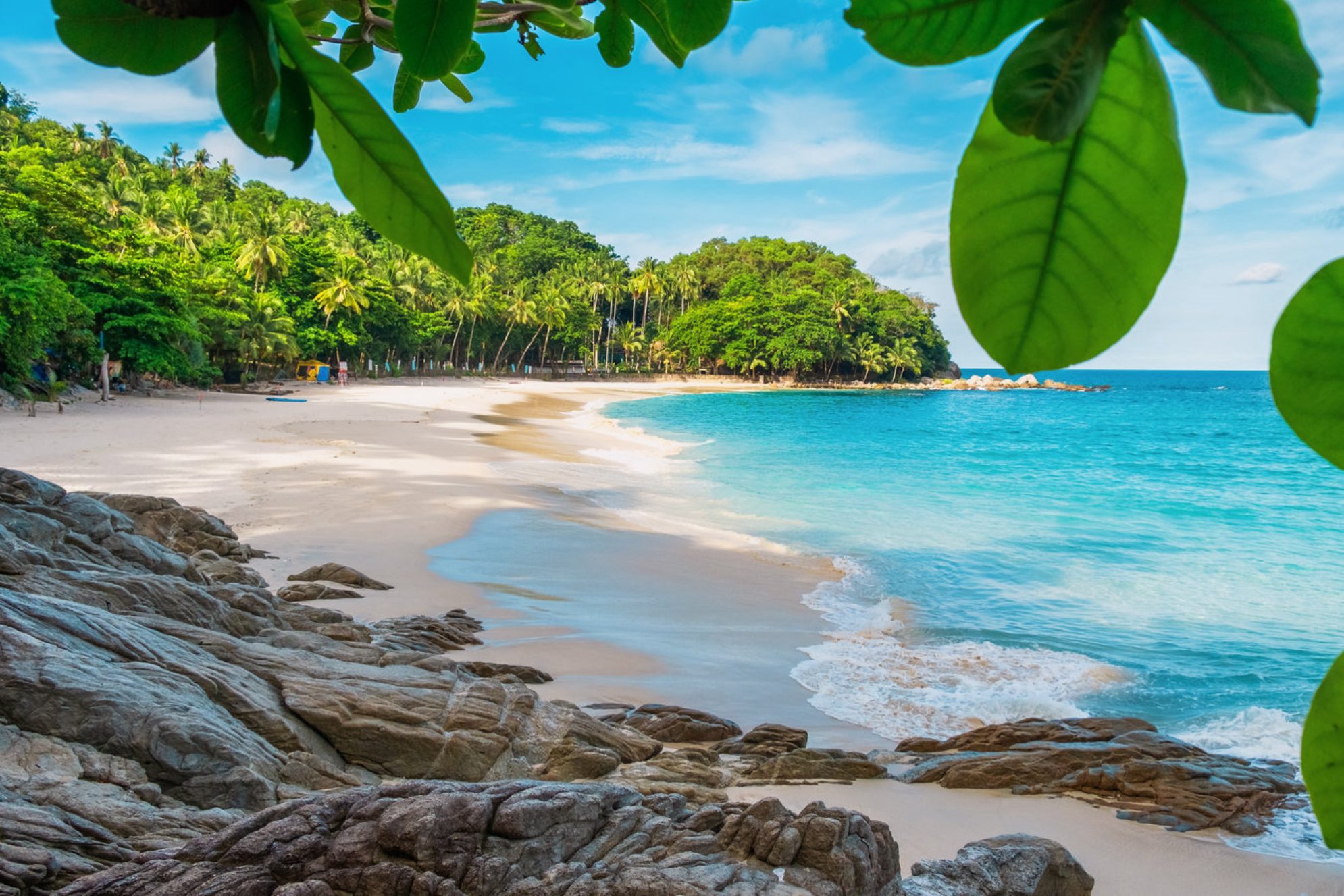 Тропический рай. Источник: Shutterstock