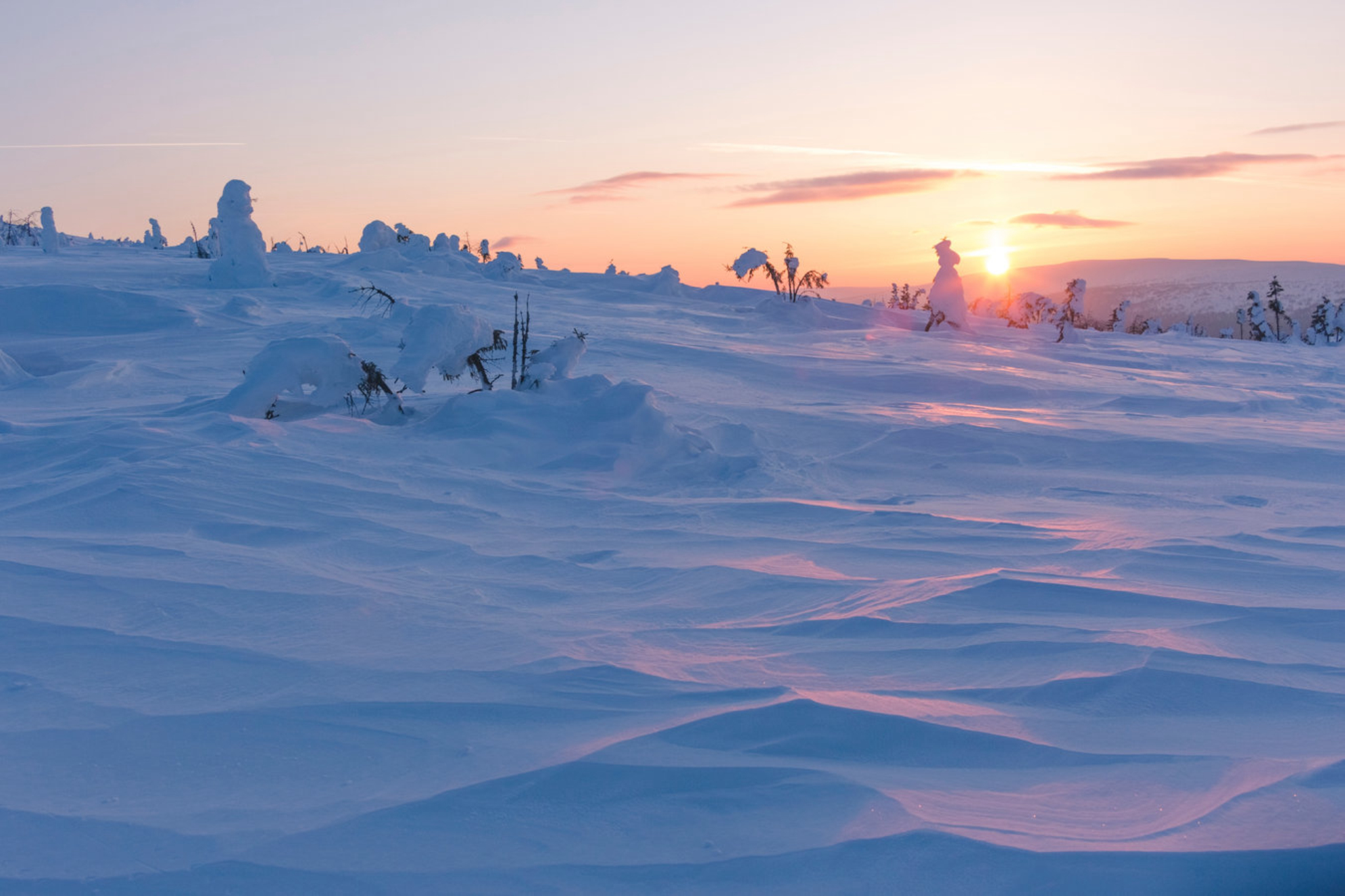 Ели покрыты снегом в горах Северного Урала, Россия. Shutterstock