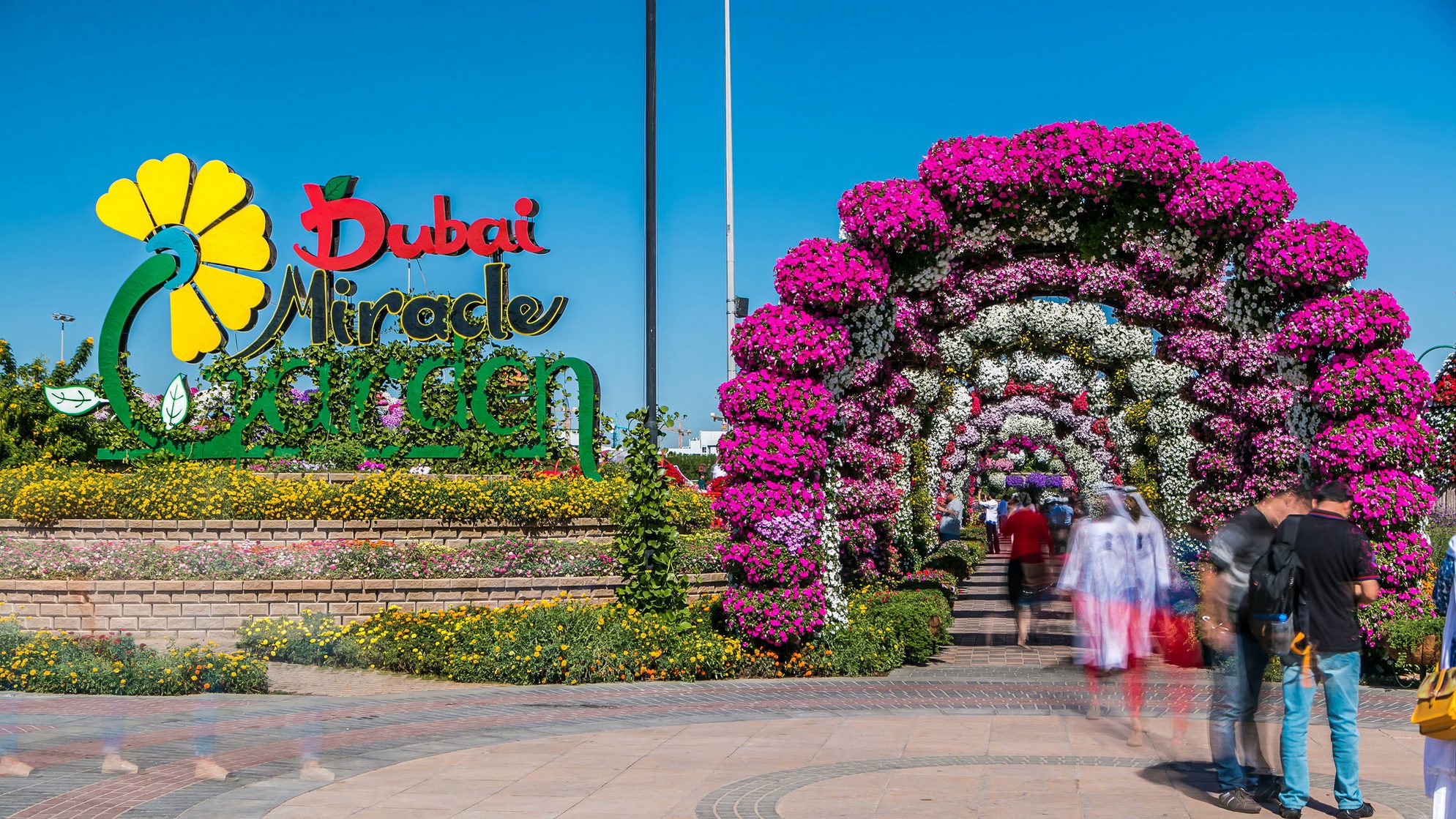 Вход в Дубайский сад чудес. Источник: Shutterstock
