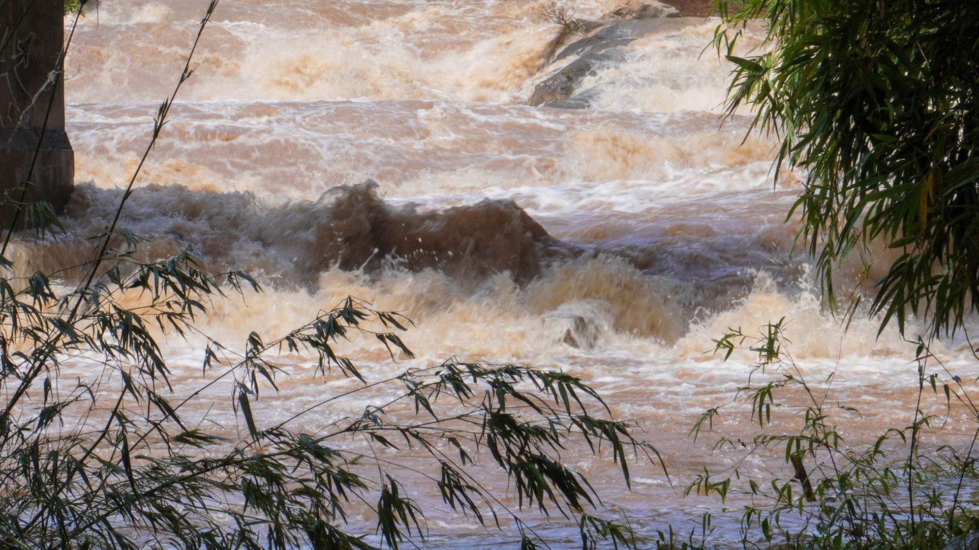 Наводнение - знакомая проблема для региона, однако менее значительной она от этого не становится. shutterstock.com