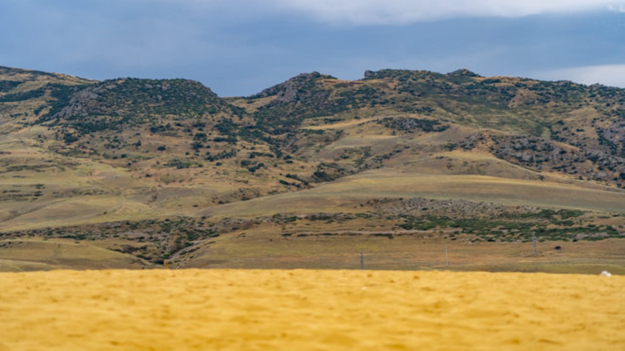 На бархане сформировалась уникальная экосистема. shutterstock.com