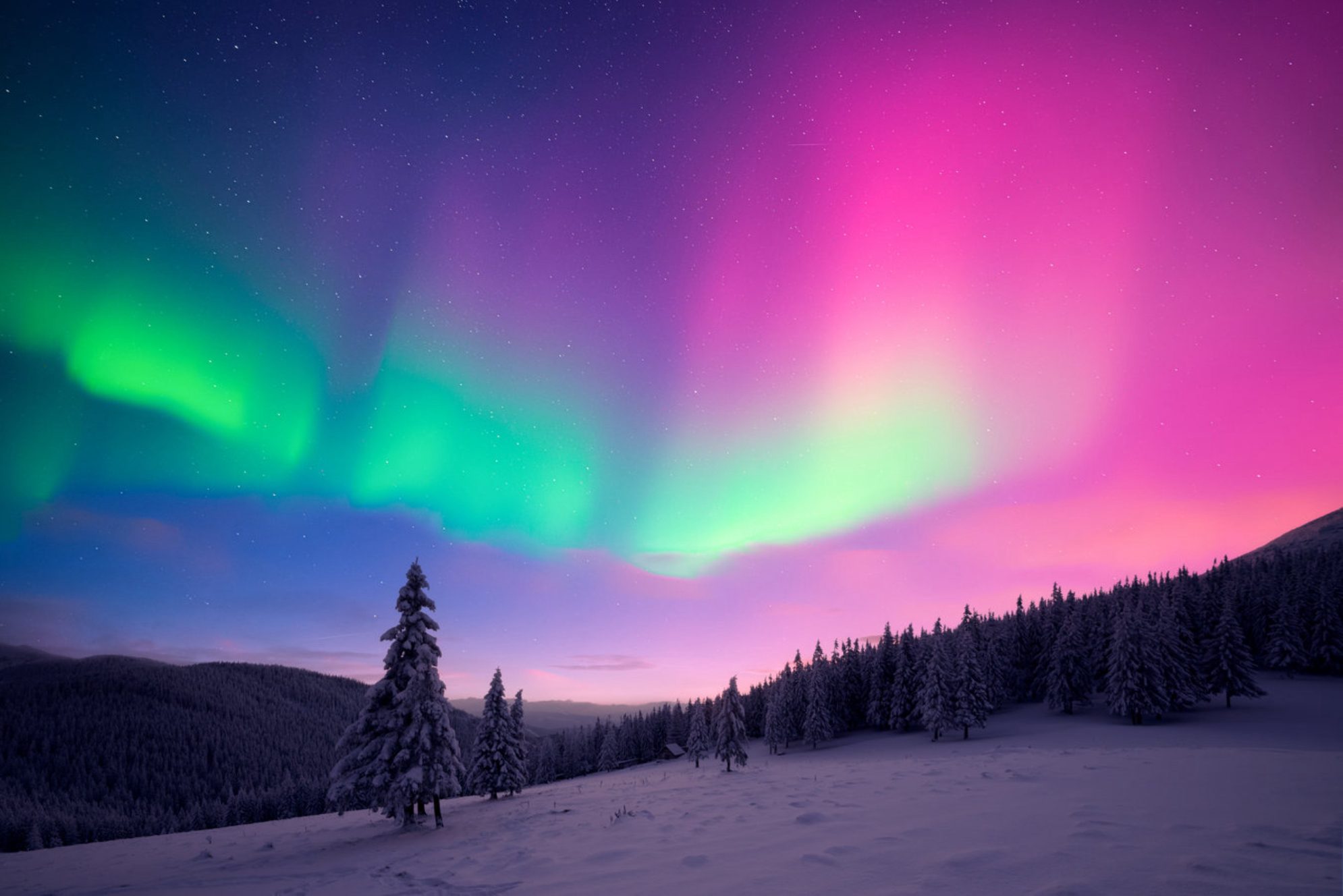 Aurora Borealis в полной яркости. shutterstock.com