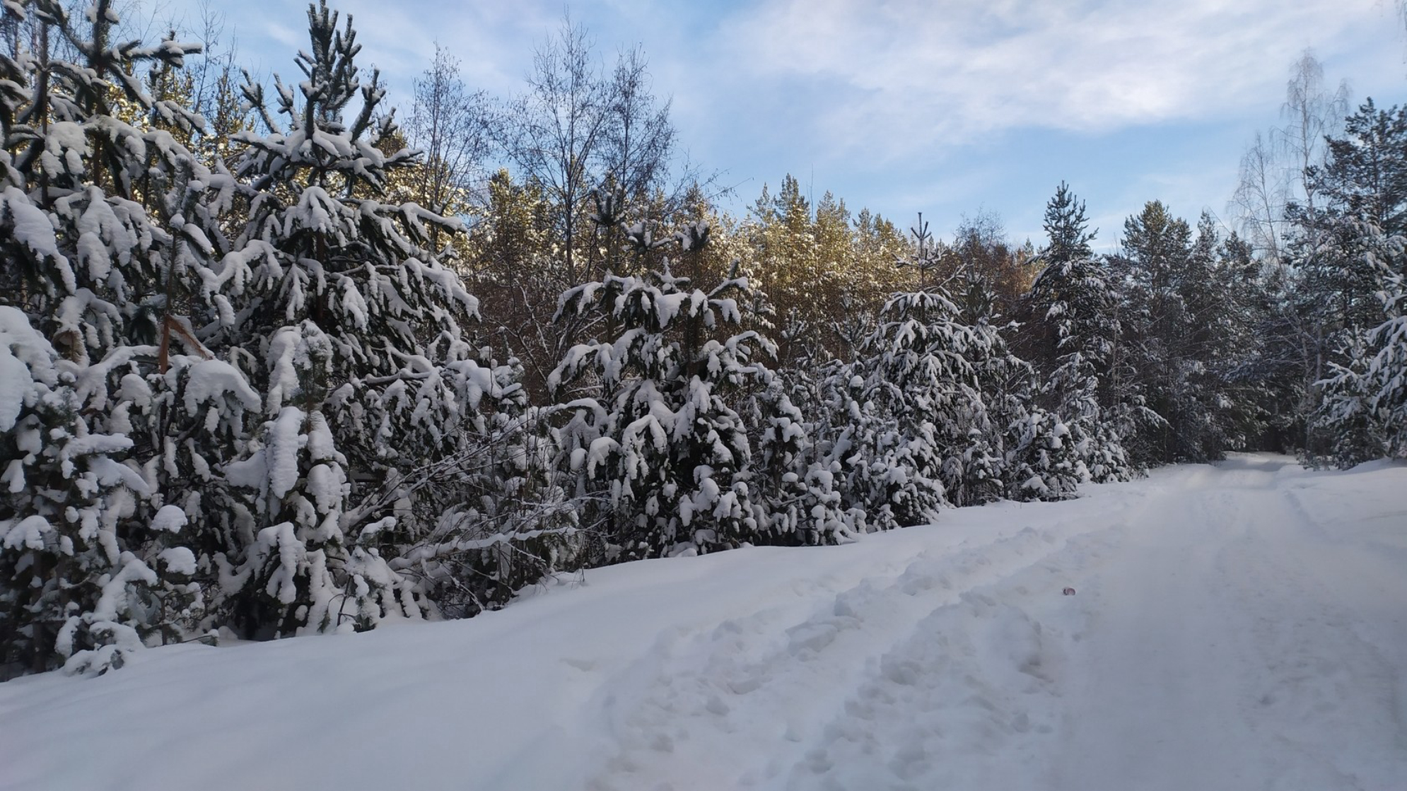 Зимний Екатеринбург.Автор: Любовь Федорова