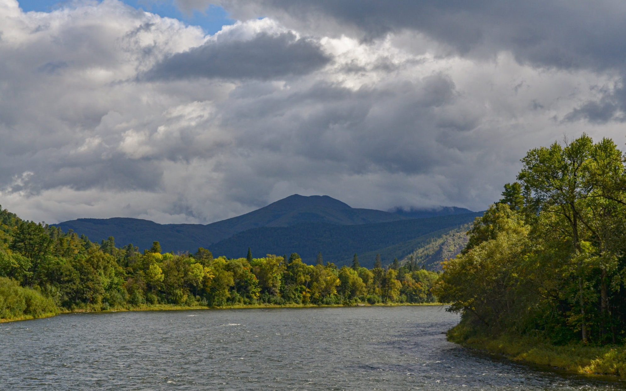 Сихоте-Алинский заповедник. shutterstock.com