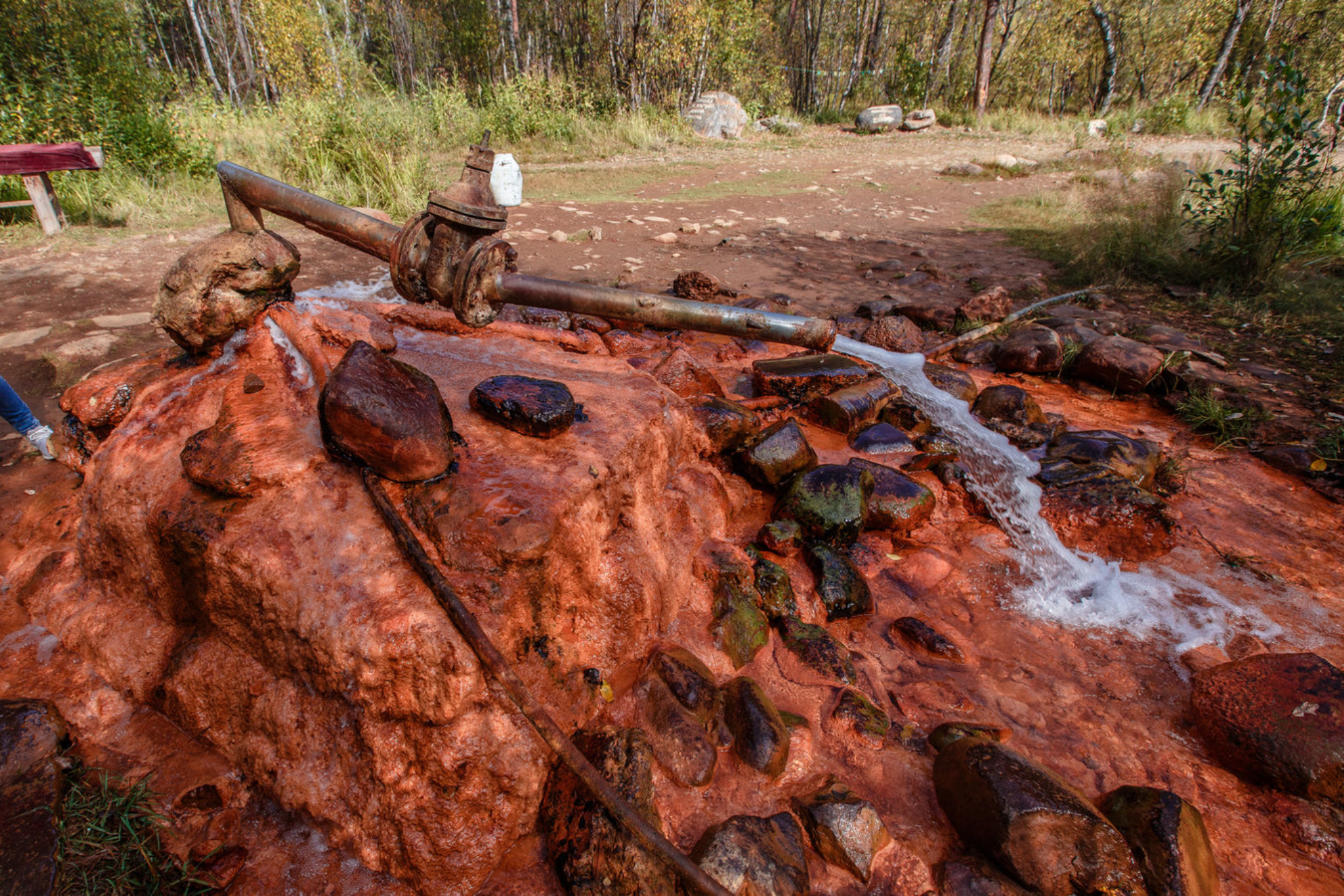 Нарзан. Shutterstock. 