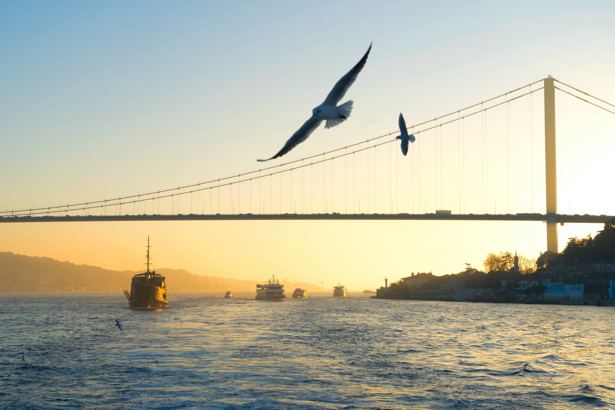 Стамбул и водный путь Босфора на закате, Турция. Источник: Shutterstock